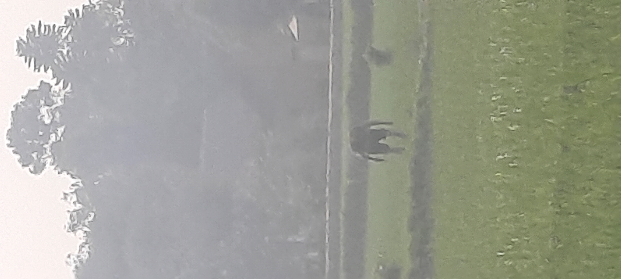 In a rural setting in Ploso, Indonesia, a person stands in a field of green crops under a hazy sky. The individual is silhouetted against the background, wearing dark clothing that appears to be shorts and a t-shirt or tank top. Their posture suggests they are either walking or standing still. The field is vast and appears to be a rice paddy or similar agricultural land. In the distance, the shapes of trees and a small structure are visible through the atmospheric haze. The overall scene is one of quiet, everyday rural life.