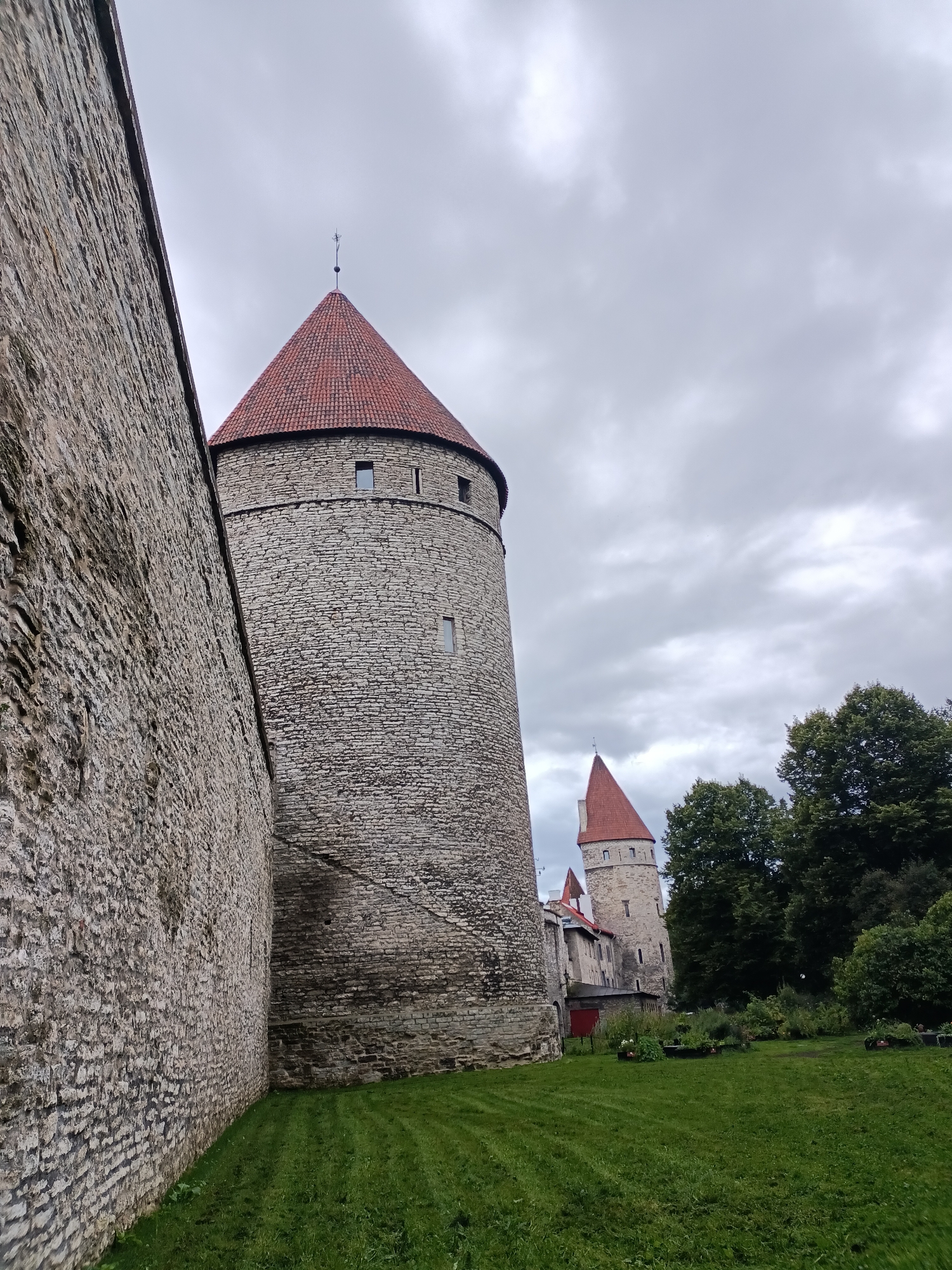 The image depicts a section of the medieval city walls and defensive towers in Tallinn, Estonia. The prominent feature on the left is a large stone wall, textured and weathered, stretching diagonally across the frame. To its right, a cylindrical stone tower with a conical red tiled roof rises. This tower has small, rectangular windows spaced out along its height. In the background, further to the right and slightly behind the first tower, is another similar tower, also topped with a red conical roof. Between the towers and further into the background, parts of buildings with red roofs and grey stone walls are visible. The foreground consists of a meticulously maintained green lawn, with visible grass stripes suggesting recent mowing. Lush green trees form a backdrop on the far right of the image. The sky is overcast with grey clouds, contributing to a diffused light. There are no people or animals visible in the scene. The scene appears to be an architectural and landscape view of a historic fortification.