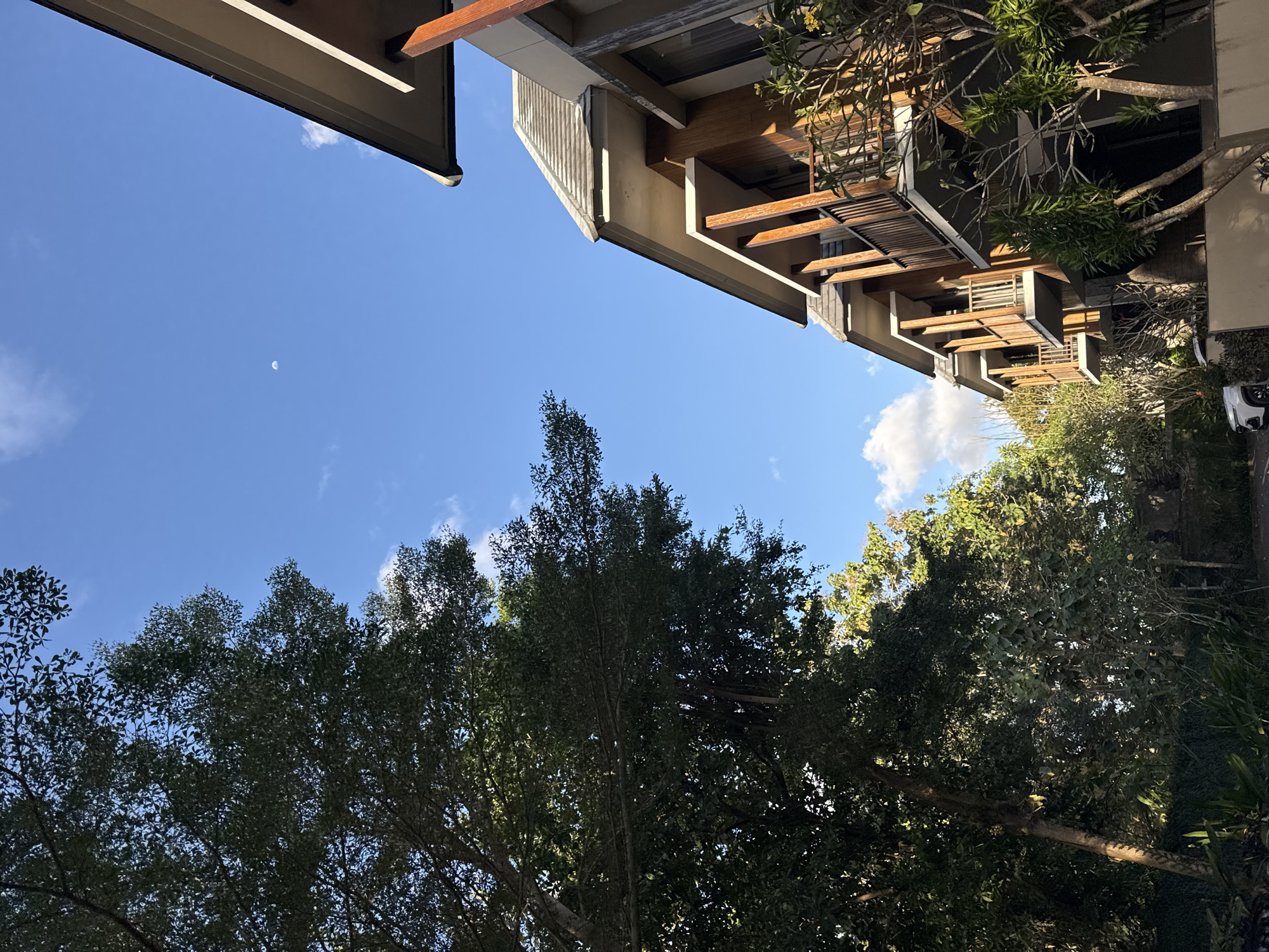 A low-angle shot captures a clear blue sky with a crescent moon visible. On the right, a modern building with wooden accents and balconies is visible. On the left, lush green trees with dense foliage fill the frame. The scene is likely in Kuta Selatan, Indonesia, judging by the architectural style and vegetation.