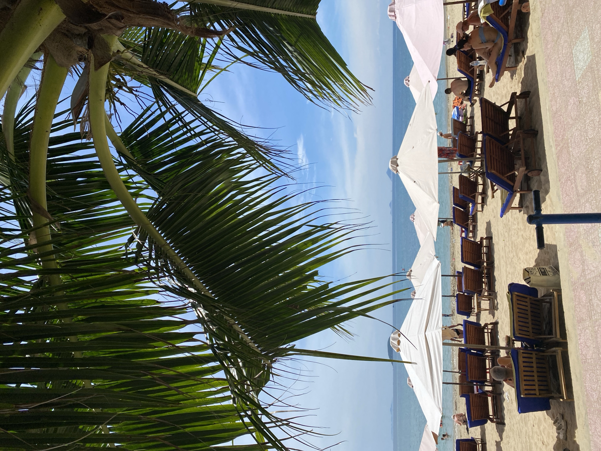 The image depicts a crowded beach scene in Nha Trang, Vietnam, under a clear blue sky. Palm fronds frame the top of the image, casting dappled shadows on the sand. Numerous beach umbrellas, mostly white and some pale pink, are set up along the shoreline, providing shade for rows of lounge chairs. Several individuals are seen relaxing on these chairs or walking along the beach. The ocean stretches out in the background, with a few distant islands or landmasses visible on the horizon. The overall atmosphere is one of a typical, busy beach resort.