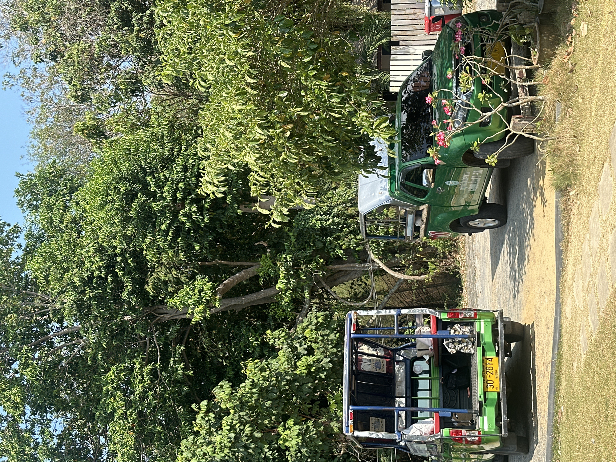 The image shows two green vehicles on a paved road in what appears to be Ao Hin Khok, Thailand, based on the visible Thai license plate. The first vehicle has a license plate number of 30-2674, and has blue metal rails on the body. The second vehicle is decorated with pink flowers. The location appears to be near a forested area with abundant trees and vegetation. A wooden structure is visible in the upper-right corner of the frame. The weather is clear and sunny.