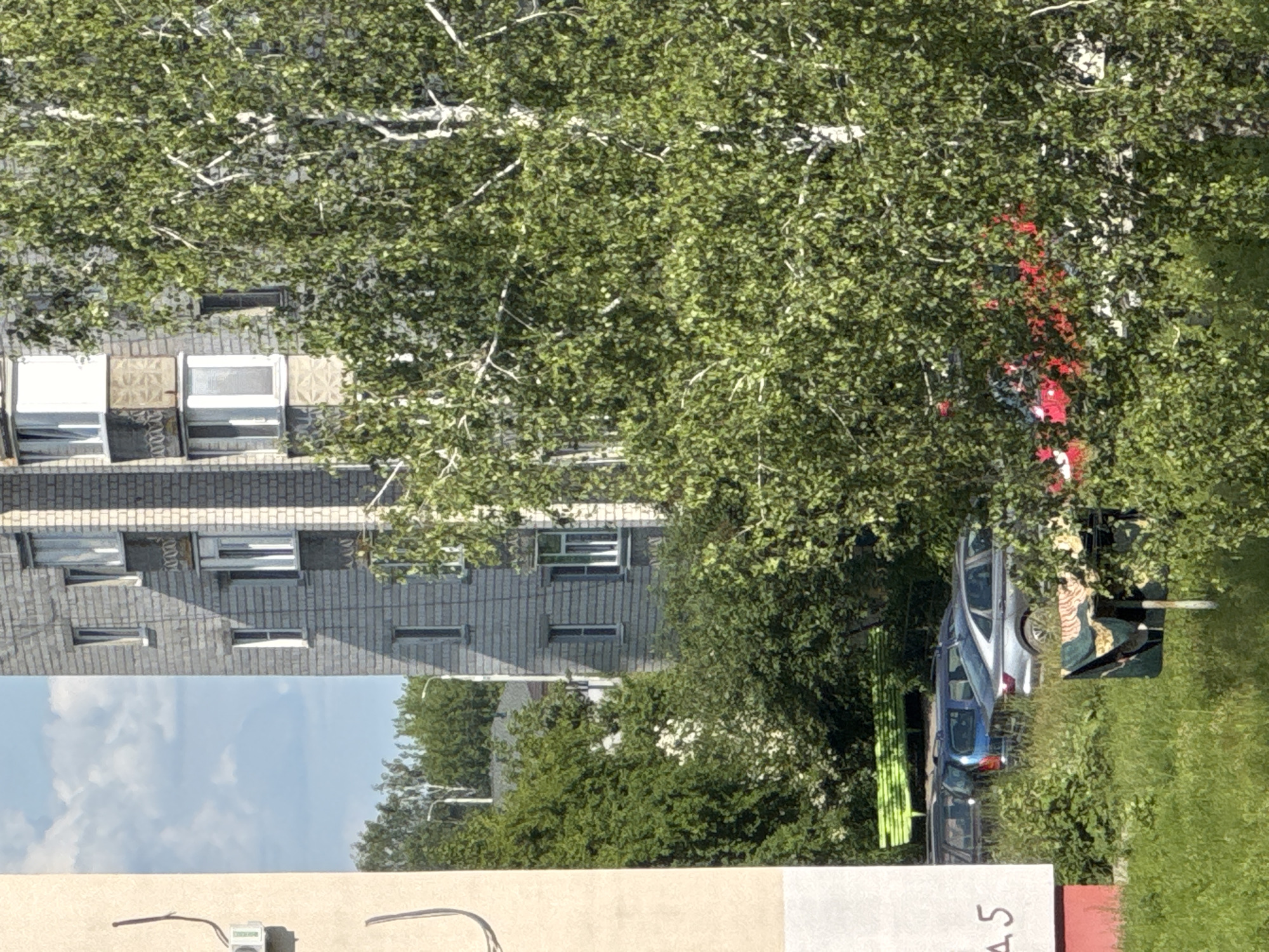 The image shows an outdoor scene, likely in an urban or suburban setting in Belarus. In the foreground, a light-colored wall with some exposed wires is visible, with what appears to be a small electronic device or meter attached to it. Above this wall, a multi-story building with a brick facade and numerous windows is seen, partially obscured by the dense foliage of a large tree with white branches. The windows of the building are varied, with some appearing to be intact and others either broken or boarded up.
To the right of the building, a section of a blue car is visible, along with other vehicles that are mostly hidden by trees and vegetation. The scene is bathed in bright sunlight, suggesting it is daytime, and the abundant greenery indicates a warm season, likely summer. There is a patch of green grass and some scattered objects, including what look like bright green poles or planks, and a patterned mat or rug.
In the background, the sky is blue with scattered white clouds. The overall impression is one of a somewhat neglected residential area, possibly an apartment complex, with a large tree dominating the view. There is no clear activity or event taking place, and the image appears to be a still capture of a moment. Text visible on the wall in the foreground reads "AS" and possibly "45".
