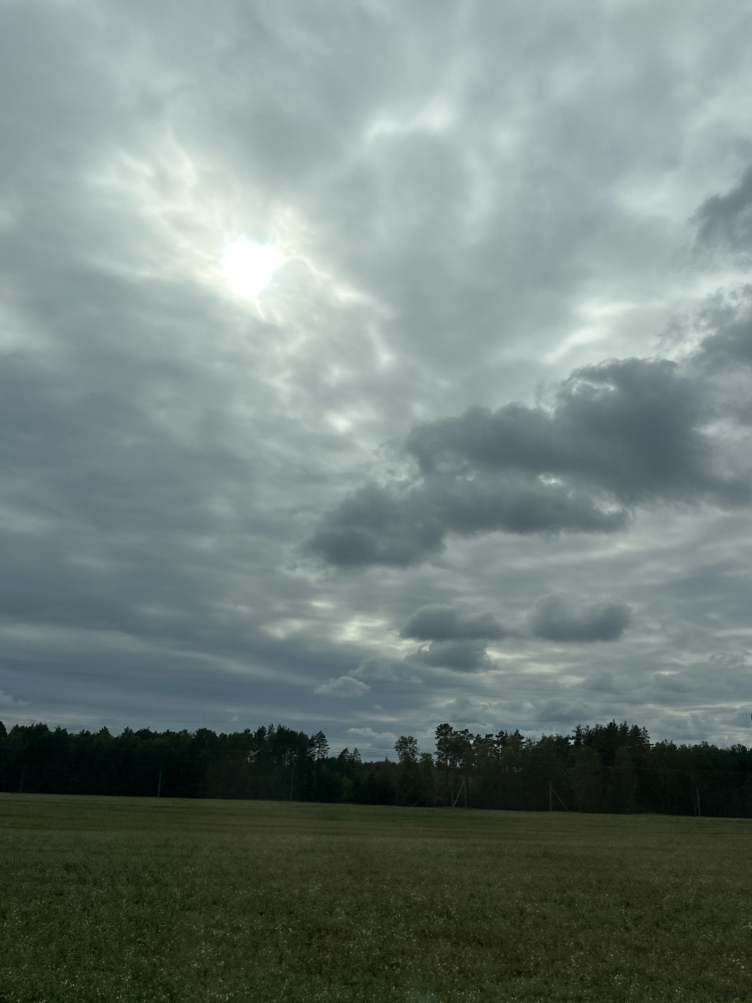 The image shows a wide view of a field and a forest under a cloudy sky. The sun is partially visible through a break in the clouds, casting a bright light. The field in the foreground is covered with green grass and small white flowers. The trees in the background form a dense line of dark green foliage. Power lines are visible above the trees. The location is identified as Парыцкі сельскі Савет, Belarus.