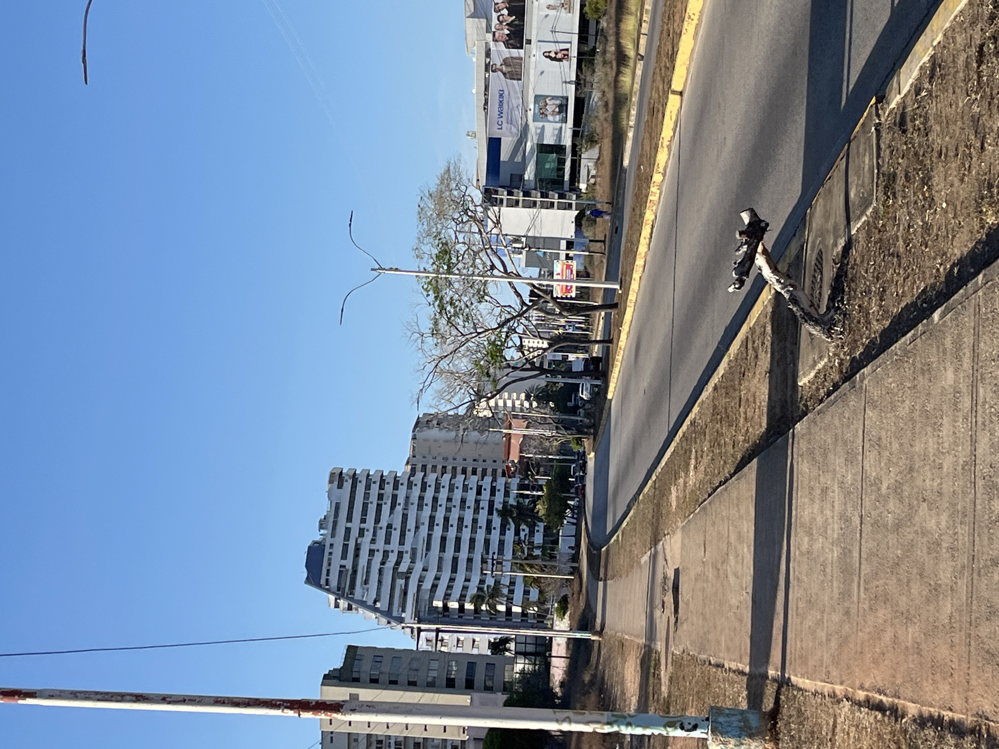 This image presents a sunlit urban street scene in Porlamar, Venezuela, under a clear, expansive blue sky. The perspective is angled, looking along a multi-lane asphalt road. The road is bordered by a concrete curb and a strip of dry, earthy ground with sparse vegetation, including a gnarled tree trunk or branch protruding near the curb. Long, distinct shadows are cast across the road and ground, indicating either late morning or early afternoon.
On the right side of the road, a modern, multi-story commercial building is visible. Its facade is adorned with large advertising banners, one prominently displaying the text "LC Waikiki" alongside images of models. A street light pole with dual curved luminaires stands in front of this building, with a tree featuring mostly bare branches behind it.
On the left side of the road, several multi-story buildings rise into the clear sky. These appear to be residential or mixed-use, featuring distinct white or light-colored facades with numerous balconies, some exhibiting a wavy architectural design. Palm trees are interspersed among these structures. In the bottom-left foreground, a white and red striped barrier or pole is partially visible. Utility lines are faintly seen crisscrossing the upper sky. The street appears devoid of visible activity, conveying a sense of calm.