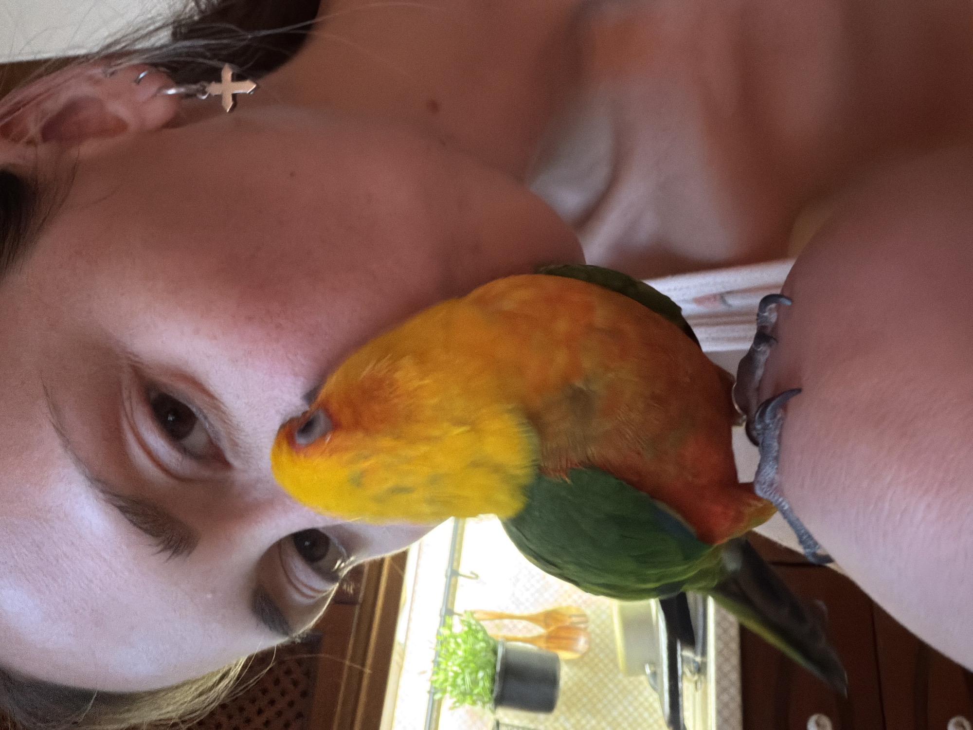A selfie image shows a person's face with a sun conure bird perched on their shoulder. The person has light skin, dark hair, and is wearing a cross earring. The bird has a yellow head, orange chest, and green wings. The background appears to be a kitchen setting with a small plant in a black pot and wooden utensils visible through a window. There is no indication of the image being located in Khimki, Russia.
