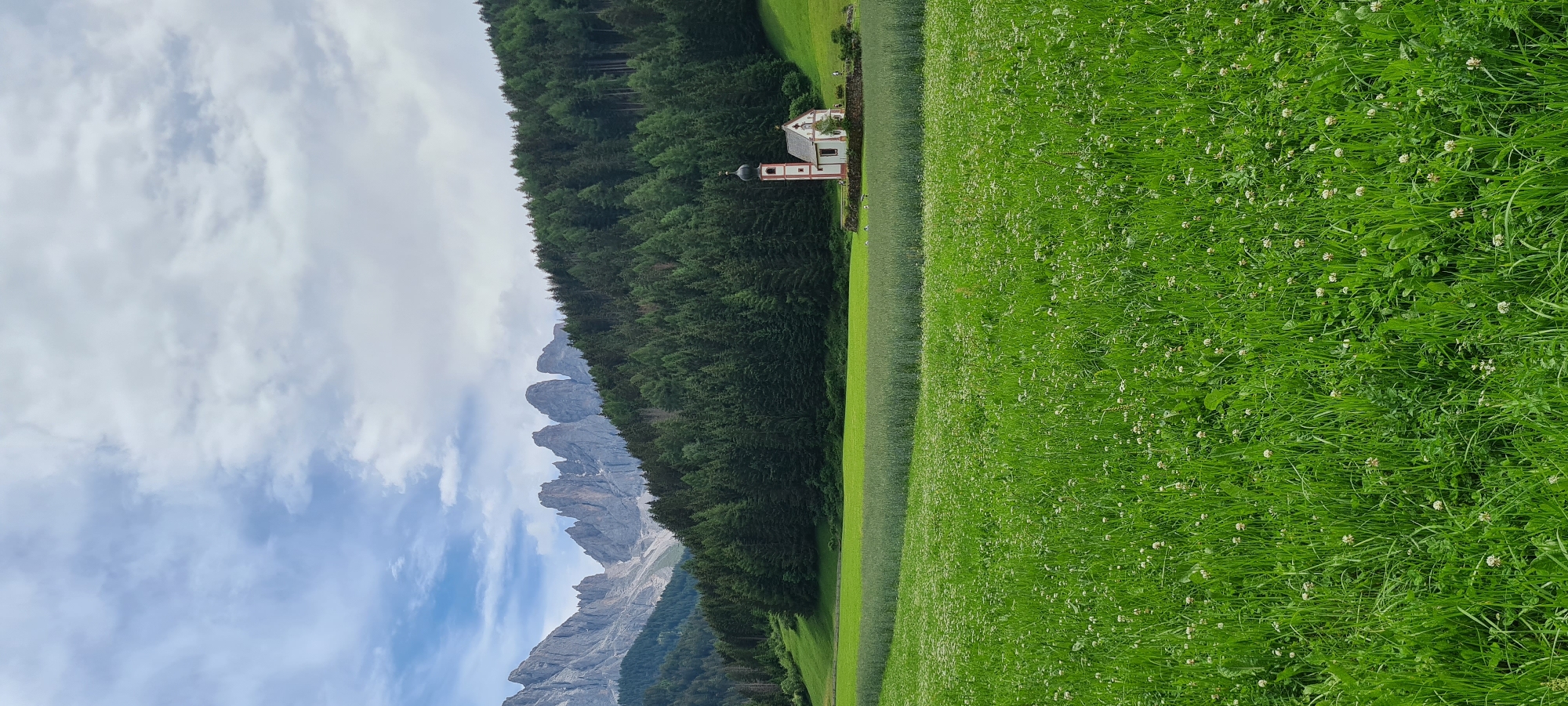 In the foreground of the image, a lush green meadow dotted with small white flowers stretches towards the horizon. Behind the meadow, a dense forest of evergreen trees blankets a hillside. Partially visible within the treeline is a small, white church with a red-tiled roof and a slender steeple. Further in the background, jagged, grey mountain peaks rise against a sky filled with dramatic, white clouds. The scene appears to be the iconic view of the church of San Giovanni in Ranui, often referred to as the Church of St. Magdalena, in the Val di Funes region of South Tyrol, Italy, near the village of Santa Maddalena. There are no people visible in the image, and the environment is predominantly natural, with the church being the sole man-made structure.