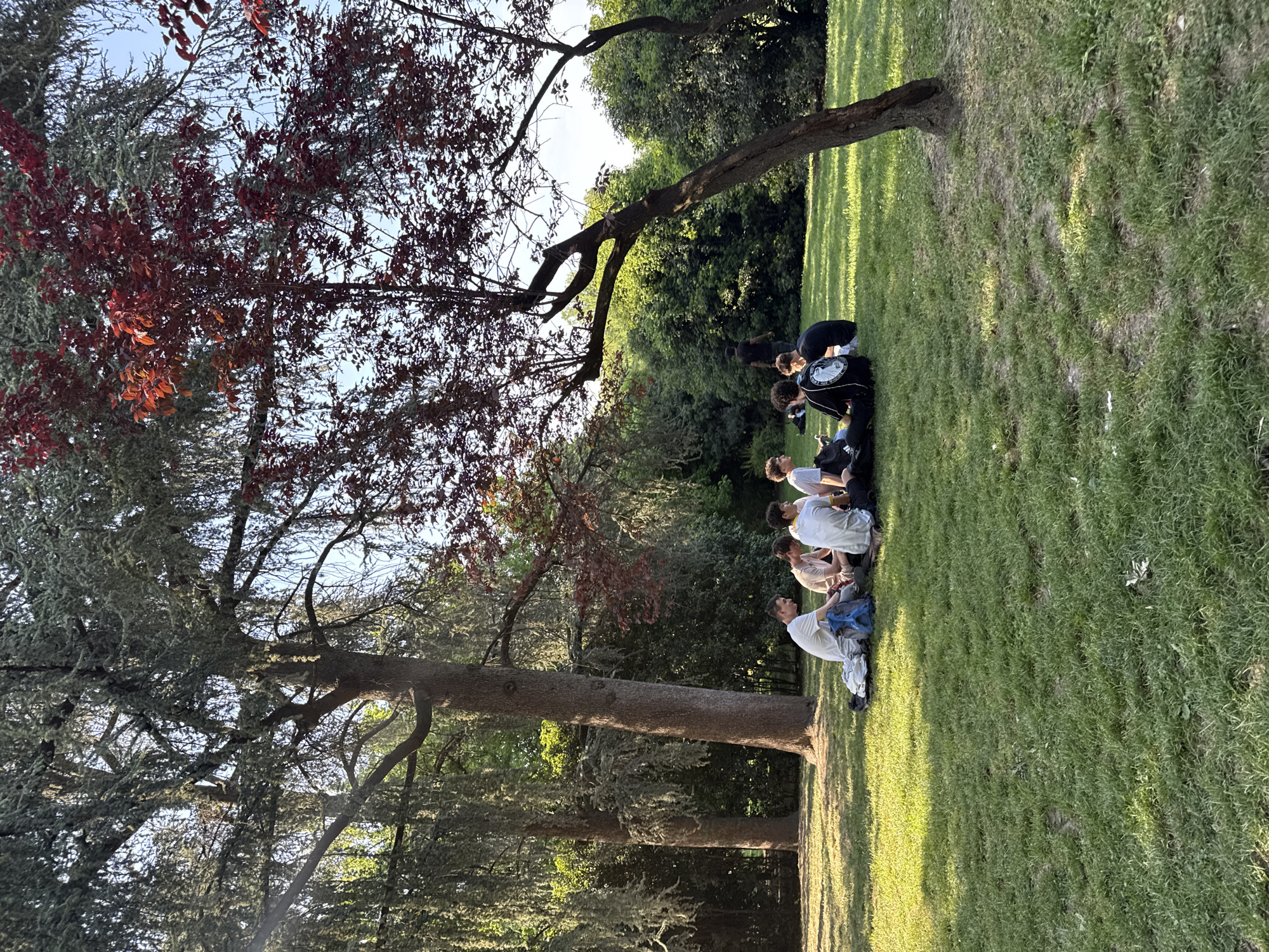 A group of approximately 6-8 young individuals, mostly male, are seated or kneeling on a sun-drenched grassy area in an outdoor park-like setting. The scene is framed by several large trees with substantial trunks and branches, some adorned with light-colored lichen or moss, and others displaying vibrant red foliage.
The people are dressed in casual attire, including t-shirts and jackets, one of which has a distinct white circular design on the back. They appear to be resting or engaged in a relaxed group activity, possibly a discussion or listening to someone not visible in the frame. Their postures suggest a moment of pause or social interaction.
The lighting indicates late afternoon or early evening, with warm, golden sunlight casting long shadows across the green grass. The sky is clear, suggesting good weather conditions. The presence of both green and red-leafed trees, along with moss/lichen, adds visual texture to the natural environment. The setting is likely a public green space in Milan, Italy. There is no visible text in the image.