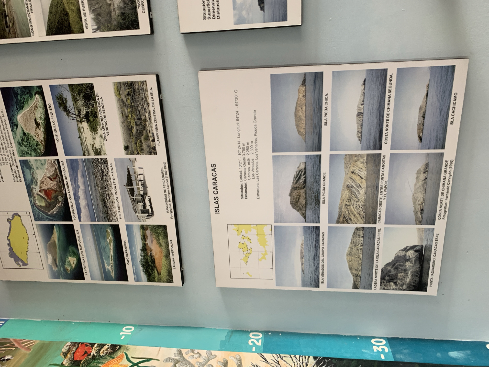 The image shows a wall covered with several informational posters and artwork. The posters display a collection of photographs and maps related to islands and coastal features. One large poster in the foreground titled "ISLAS CARACAS" features a map of an archipelago and multiple photographs of various islands and coastal landscapes, with labels in Spanish such as "ISLA VENADOS DEL GRUPO CARACAS", "ISLA PICUA GRANDE", "ISLA PICUA CHICA", "LADERA NORTE DE LA ISLA CARACAS ESTE", "CARACAS OESTE, ENTRE PUNTA CANOITAS Y EL VAPOR", "COSTA NORTE DE CHIMANA SEGUNDA", "PUNTA TAGUARUMO, CARACAS ESTE", and "ISLA CACHICAMO". To the left of this poster, a large artwork depicting coral reefs and marine life is visible, with partial numbers "-10", "-20", and "-30" printed vertically. Another poster on the upper left shows aerial views of islands and a salt lagoon, with captions like "LA TORTUGA Y LOS TORTUGUILLOS", "TORTUGUILLO CON LAGUNA HIPERSALINA", "TORTUGUILLO PEQUEÑO", "CAYO HERRADURA", "PUNTA DELGADA - PLAYA ESTE Y ROCAS", "ZONA ARENOSA RODEADA DE VEGETACIÓN XERÓFILA", "LAGUNA HIPERSALINA", and "PLATAFORMA CENTRAL DE LA ISLA". The posters are mounted on a light blue wall. The scene appears to be an indoor exhibition or educational display. The location of Boca del Río, Venezuela is not directly indicated by any visual elements within the image itself.