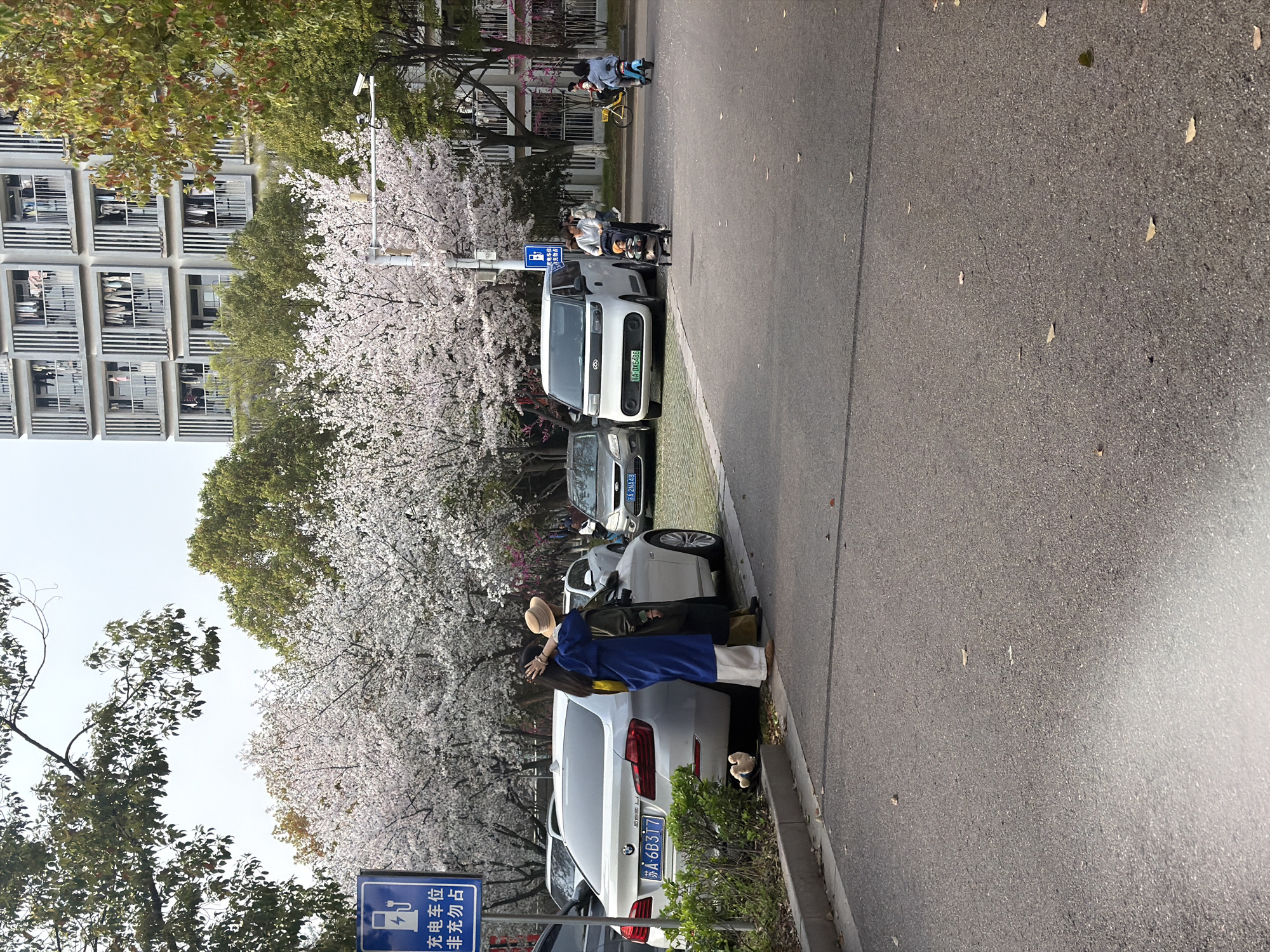 The image captures a street scene in Jiangning District, China, lined with trees in full bloom, likely cherry blossoms, which line the sidewalk and street. The scene includes several parked cars along the curb: a white BMW with license plate "苏A·6B3T7" (Su A·6B3T7), a light-colored car to its right, a gray sedan, and a white van with license plate "苏A·DX6486" (Su A·DX6486) further up the street. A blue parking sign with the characters "充电车位 非充勿占" (chōngdiàn chēwèi fēi chōng wù zhàn) indicating charging station parking spots is visible. A person dressed in a long blue robe and wearing a sun hat is standing next to the white BMW, seemingly interacting with another individual obscured behind the vehicle. On the other side of the street, people are riding bikes, with a building in the background.