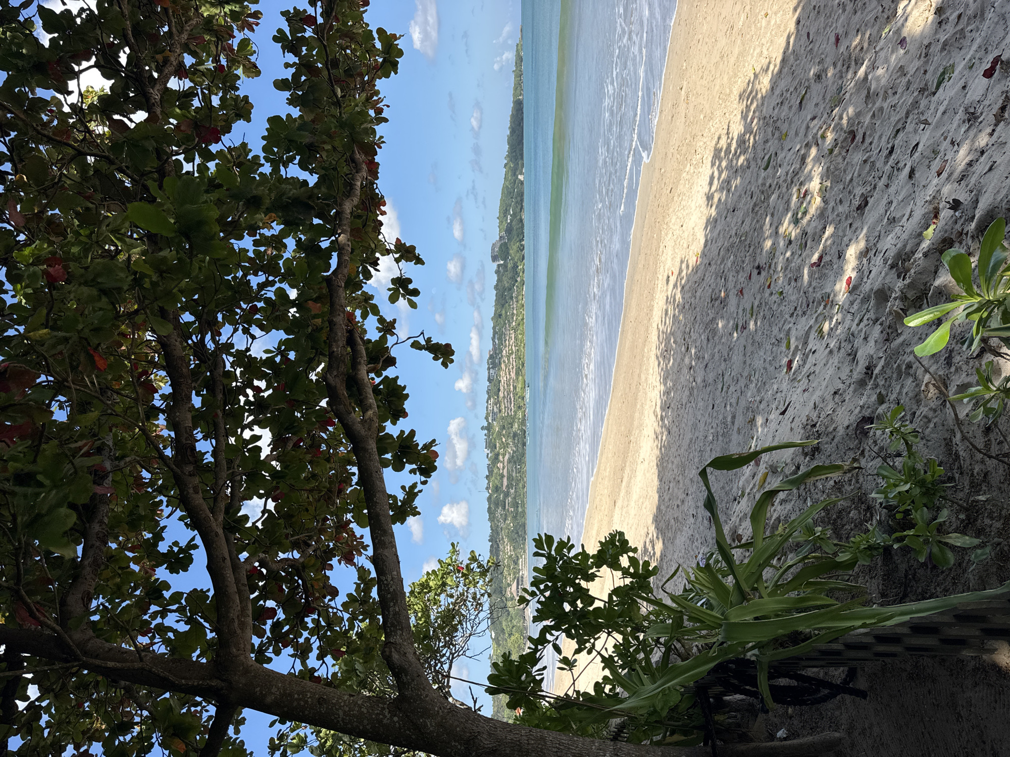 The image depicts a view of the beach in Kuta Selatan, Indonesia, partially obscured by a tree in the foreground. The beach, with sand and visible water waves, stretches towards a horizon line. Buildings are visible along the shoreline. The sky is light blue with scattered white clouds. A tree with green and reddish leaves is in the left foreground. Green foliage is in the right foreground. Shadows from the tree are cast on the beach sand.