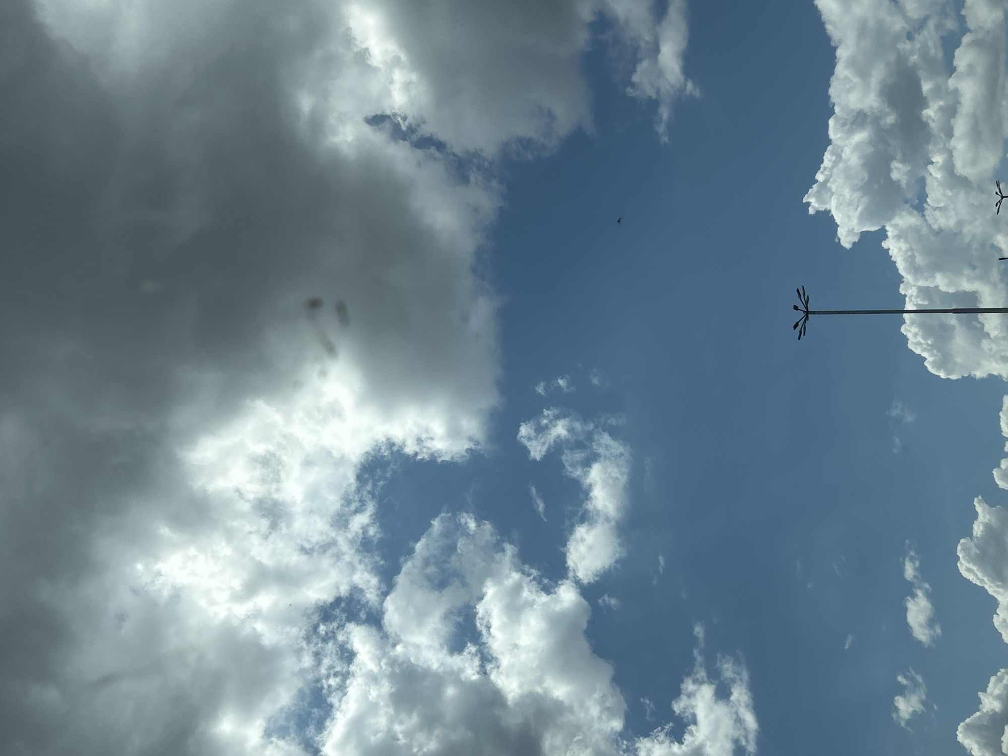 The image displays an urban sky over Sofia, Bulgaria, characterized by a mix of cloud formations and clear blue patches, observed during daytime. The upper portion of the frame, particularly towards the right, is dominated by large, dense, dark grey cumulus clouds, indicating significant atmospheric moisture. Below these, and extending into the lower and left sections of the sky, are numerous bright white cumulus clouds, several of which exhibit strong illumination from direct sunlight. Interspersed between the cloud masses are clear, vibrant blue areas of sky, most notably in the mid-left and mid-right.
A tall, metallic streetlamp, featuring a multi-arm fixture designed to hold multiple light sources at its apex, is prominently positioned in the lower-center-left, silhouetted against the bright sky. The uppermost section of a second, similar streetlamp is visible in the bottom-right corner, suggesting the presence of a series of such fixtures. In the mid-right area, a small, dark, winged object is visible against a patch of blue sky; its exact classification as an aircraft, bird, or drone is not definitively determinable due to its distance and resolution.
No individuals or specific ground-level structures, such as buildings or vehicles, are discernible within the frame beyond the partially visible streetlamps. The scene's illumination is consistent with natural daylight conditions. The urban environment is confirmed by the presence of streetlamps; however, specific architectural or topographical landmarks that would allow for pinpointing an exact street or district within Sofia are not visible in this visual evidence.