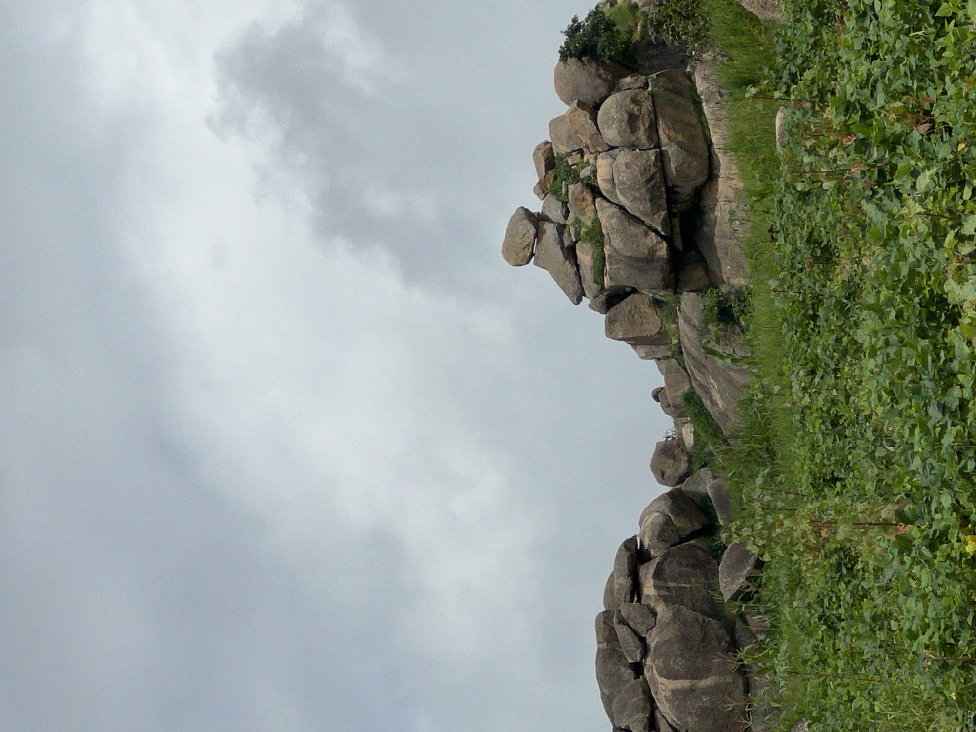 The image depicts a rugged, rocky landscape with a cloudy sky. In the foreground, dense green vegetation, including leafy plants and tall grasses, covers the ground. Behind the vegetation, large boulders and rock formations dominate the scene. These rocks are irregular in shape and size, with some appearing stacked or precariously balanced. The sky is overcast, with soft, diffused light and areas of lighter and darker clouds. The overall impression is of a natural, undeveloped environment.
This scene is likely located in the outskirts of Jos, Nigeria, known for its hilly terrain and rock formations. The vegetation suggests a tropical or subtropical climate, consistent with the region. There are no people or man-made structures visible in the image, indicating a remote or undeveloped area.