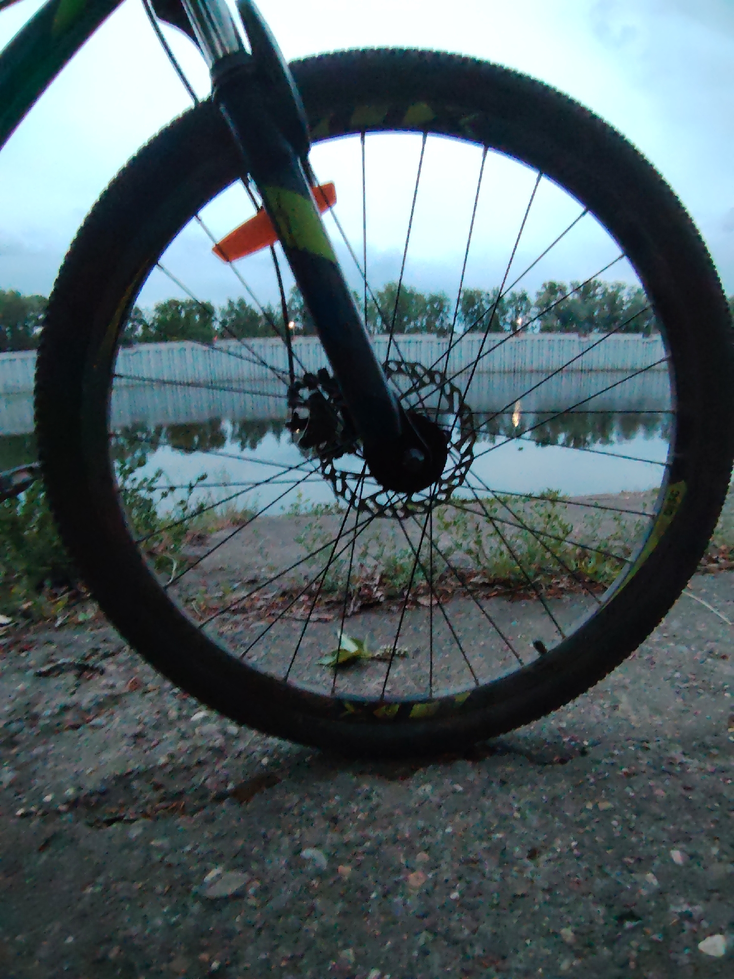 A close-up, low-angle shot focuses on the front wheel of a bicycle standing on a pavement. The wheel is black with many spokes radiating from the central hub, a disc brake is visible. The tire is knobby. A small orange reflector is attached to one of the spokes. In the background, out of focus, are trees and a white wall reflecting in the water. The photograph was taken in Chaikovsky, Russia.