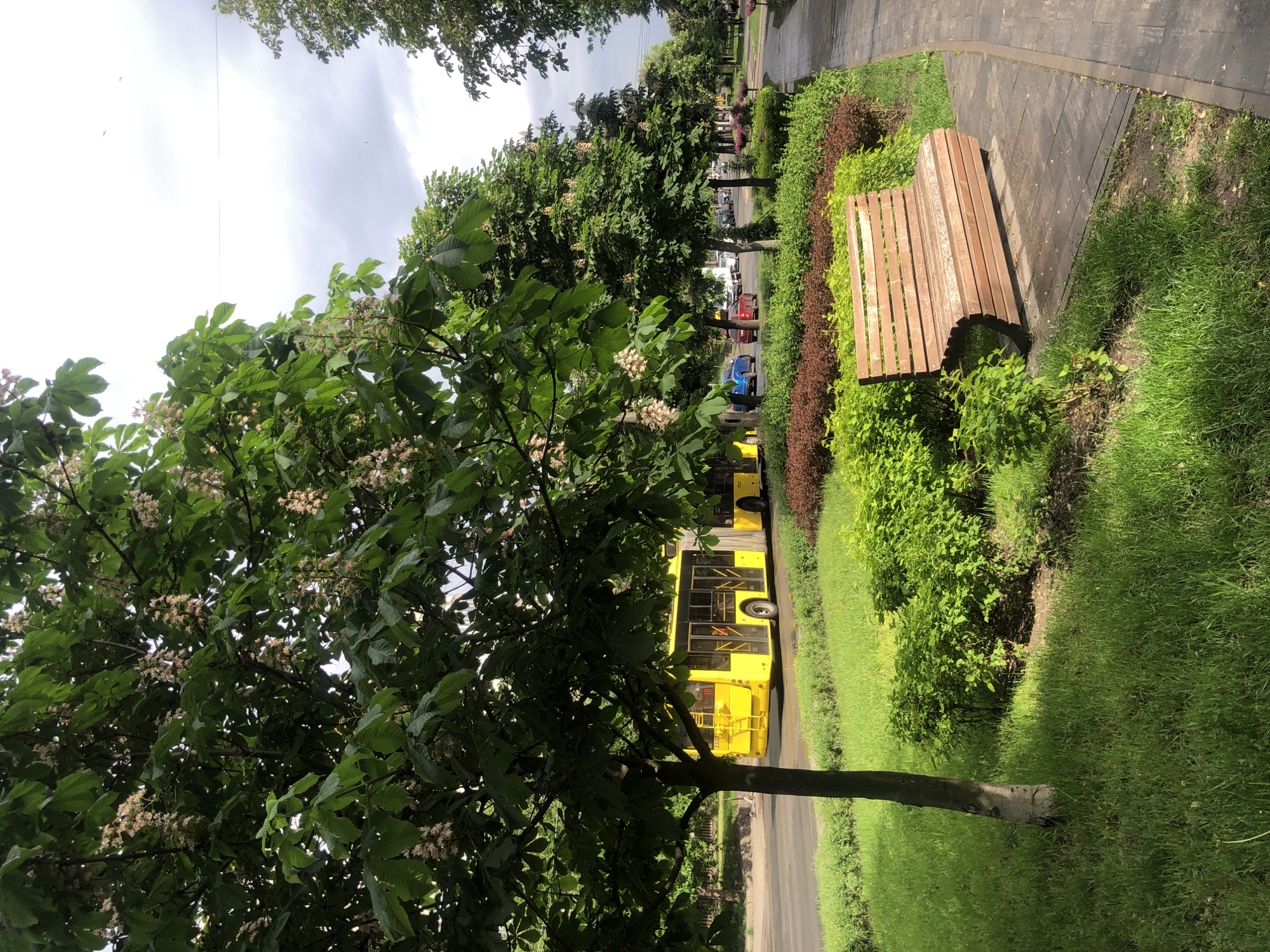 The image shows a park scene in Kyiv, Ukraine. A yellow public transportation bus is visible on the street next to the park. A bench sits along a paved walkway surrounded by grass and bushes. A tree with white blossoms is in the foreground. Other trees line the street in the background. The weather appears cloudy.