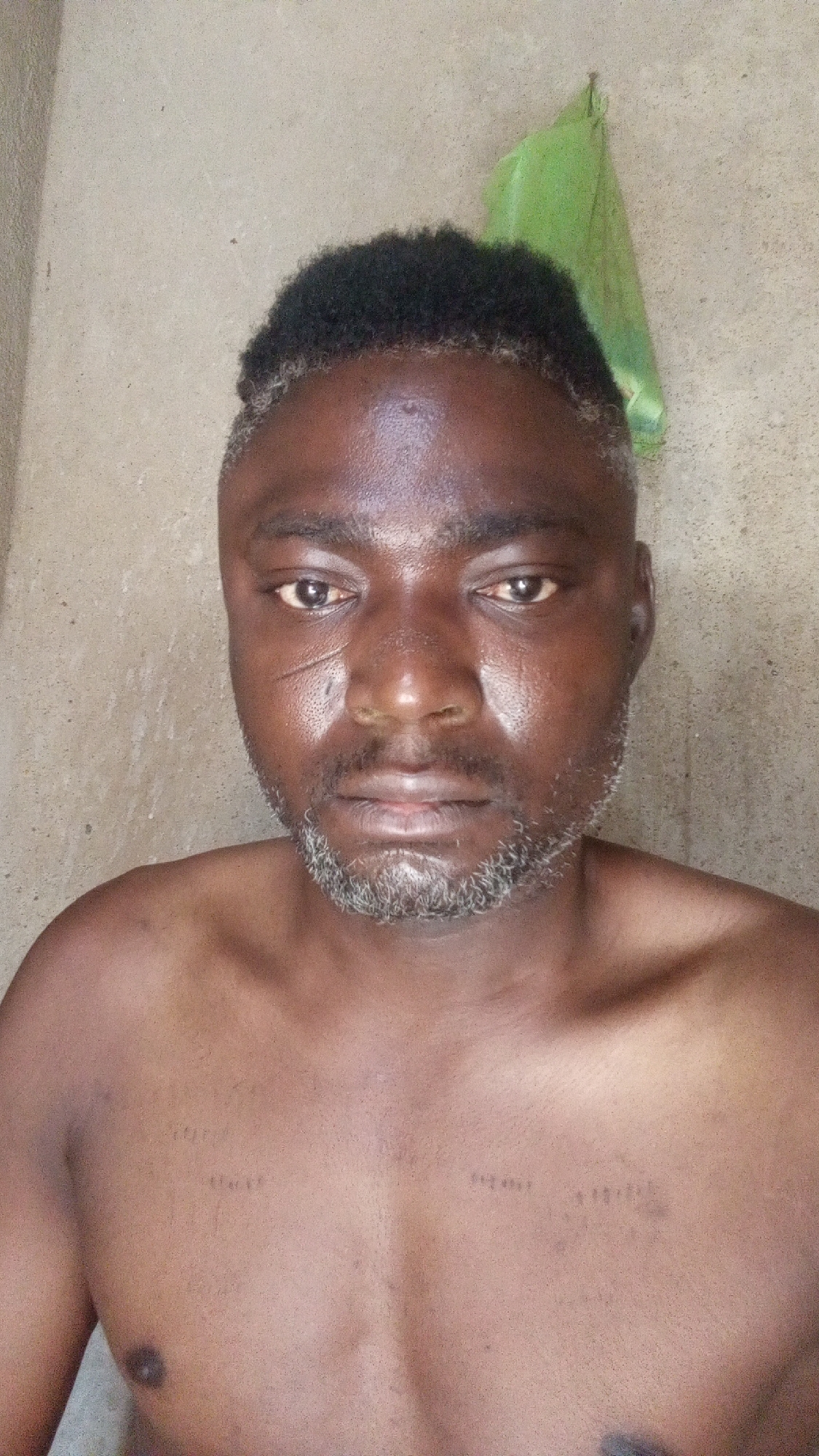 A portrait-style image features a man from the chest up, looking directly at the camera. He has dark skin, short, kinky black hair with some graying around the hairline, particularly visible on the sides. His facial hair consists of a short, gray beard and stubble. A prominent scar is visible on his right cheek (viewer's left). His skin appears somewhat shiny, suggesting oiliness or perspiration. His expression is neutral to slightly serious.
The man's upper torso is bare, revealing a muscular build. On his chest, faint, stylized marks or scarifications are visible. On the left pectoral area (viewer's left), there appear to be two sets of characters, possibly numbers or letters, that are difficult to discern clearly but resemble "518" and "451". On the right pectoral area (viewer's right), there are similar, but even fainter, linear marks or characters.
The background is a plain, light beige or off-white wall with a textured, possibly stucco-like finish. In the upper right corner, a piece of green fabric or a small bag is hanging on the wall. The lighting is even, suggesting an indoor setting or indirect natural light. No specific activity is taking place other than the man posing for the camera.