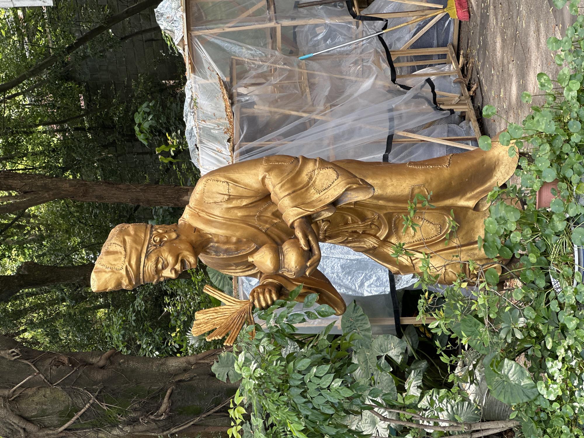 The image shows a golden statue of a bearded man wearing a hat, placed outdoors in Jiulongpo District, China. He is holding a fan in his left hand and a small object in his right. The statue is surrounded by greenery, including various plants. Behind the statue is a structure covered with plastic sheeting. A broom and some wooden supports are visible next to the structure. A tree with exposed roots is also in the background. The scene is situated in what appears to be a yard or garden setting.