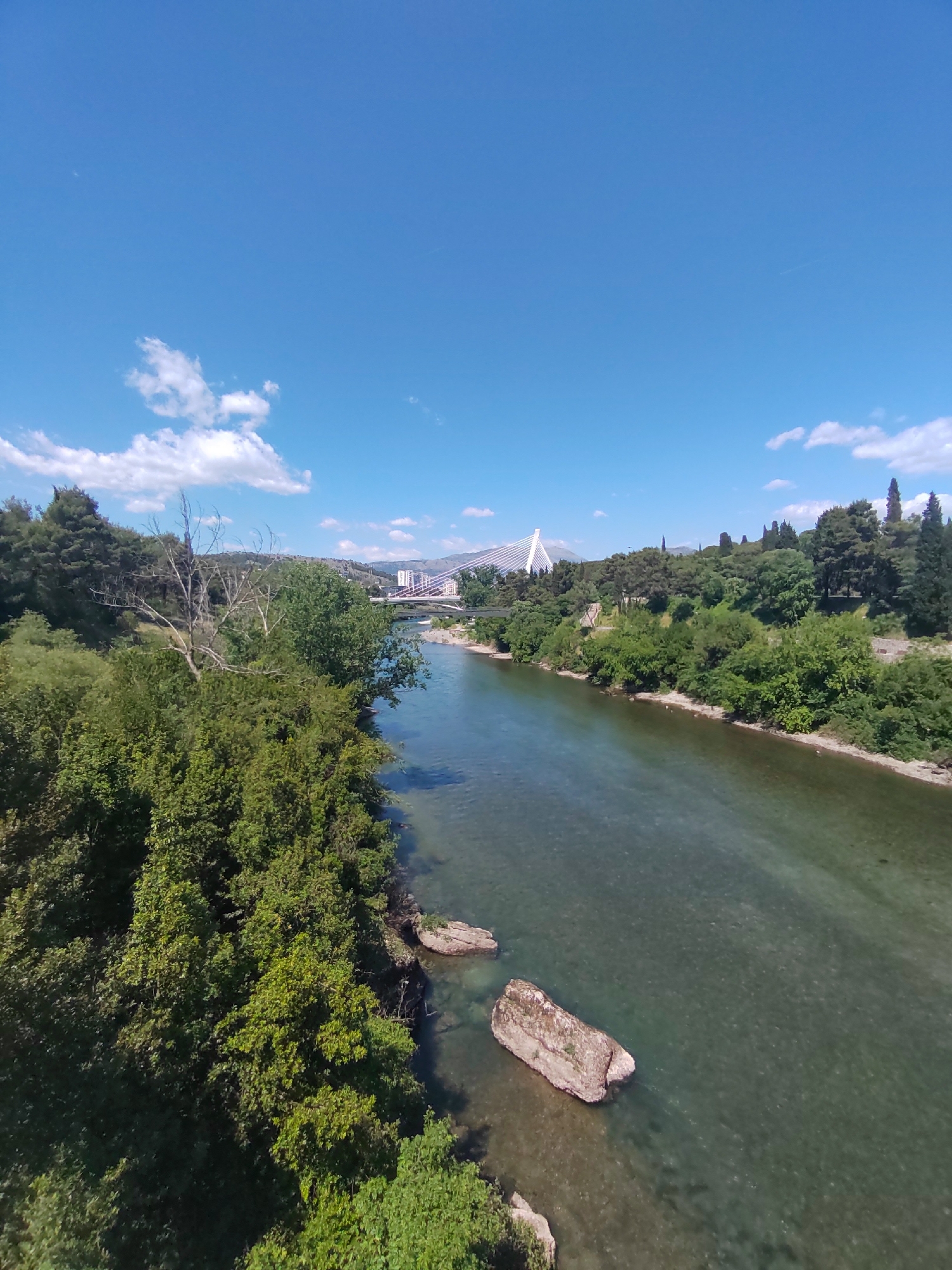 The image shows a view of the Morača River in Podgorica, Montenegro, on a sunny day. The river flows from the middle distance towards the lower right, with clear water revealing the riverbed. Large rocks are visible in the river. Lush green vegetation, including trees and bushes, lines both banks. In the background, a cable-stayed bridge and a mountain range are visible under a bright blue sky with scattered white clouds.