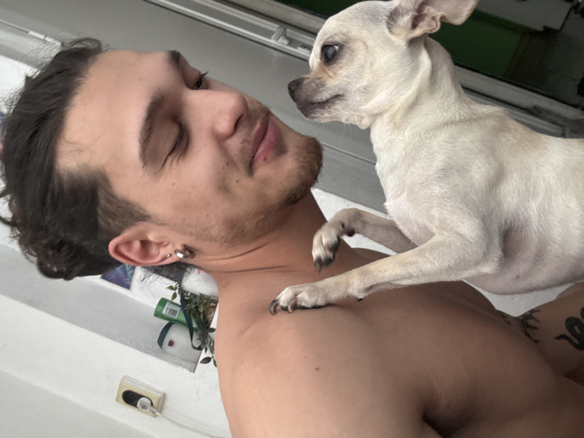 A shirtless man with dark hair pulled back and several earrings in his left ear is laying down. A small, tan dog with a short coat is standing on the man's chest, with one paw touching his upper chest area. The man's eyes are closed. There are tattoos visible on the man's right shoulder. The background shows a white wall and a partially visible window. There's also a light switch on the wall. The location is not discernible from the image and cannot be determined to be in Sofia, Bulgaria.