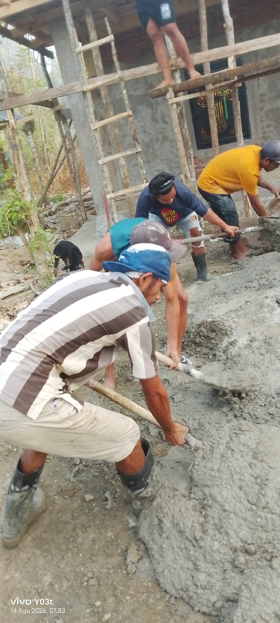 At a construction site in Woiha, Indonesia, four men are engaged in pouring concrete. Two men in the foreground are actively shoveling and spreading the wet cement, each equipped with shovels. The man on the left wears a striped shirt and light-colored shorts, while the man in the middle, partially obscured, is seen from behind. To the right, a man in a yellow t-shirt uses a shovel to transfer cement from a bucket, and another man in a blue t-shirt with ripped shorts leans forward, also shoveling. A black dog is visible in the background, near some vegetation. The environment is dusty and appears to be outdoors, with wooden scaffolding and unfinished building structures. The date and time stamp "vivo Y03t 14 Agu 2026, 07.33" is overlaid on the lower-left corner of the image.