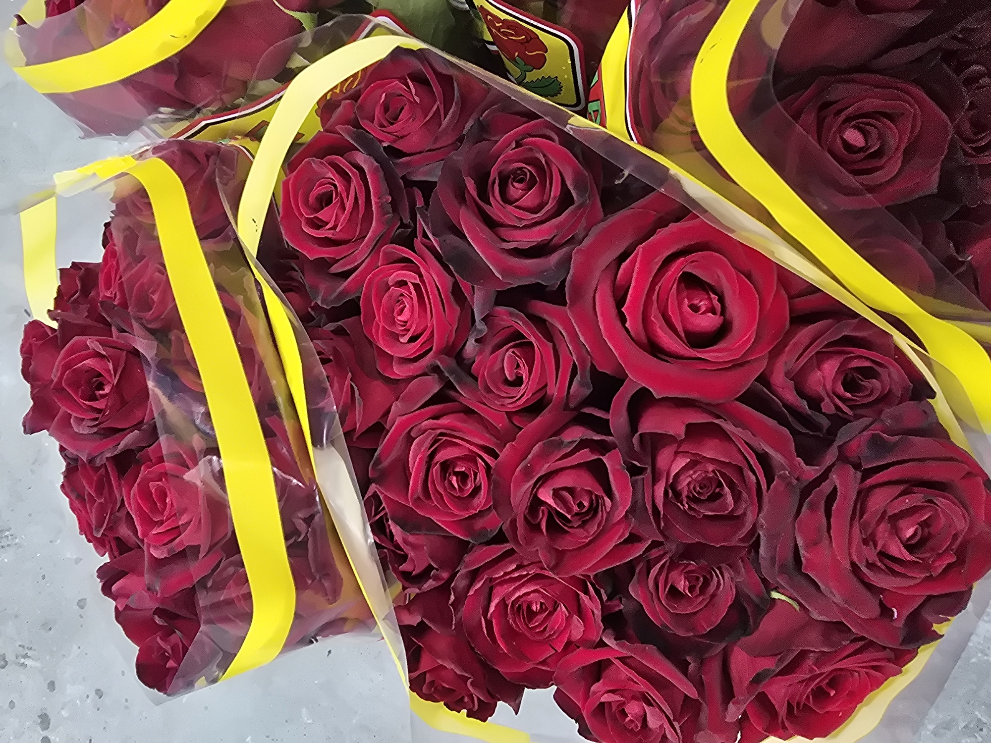 The image shows a close-up of multiple bouquets of dark red roses, each wrapped in clear plastic with a yellow ribbon. The background appears to be a light gray surface, possibly a countertop or floor. The location is not discernible from the provided visual information, so stating it's in Tel-Aviv, Israel would be speculative.