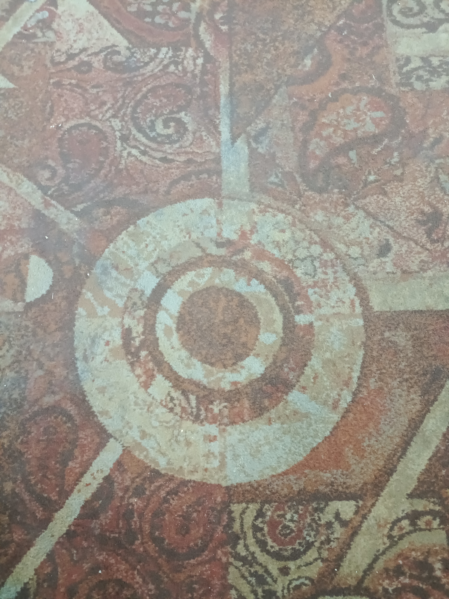 The image shows a close-up, overhead view of a patterned carpet. The carpet has a central circular motif with concentric rings, rendered in muted shades of light blue, beige, and brown. Surrounding this central design are swirling paisley-like patterns in reddish-brown and dark brown. Diagonal lines of light beige or white also cut across the frame, intersecting with the circular motif. The texture of the carpet appears somewhat worn, with visible fibers and a grainy quality. There are no people, animals, or distinct landmarks visible in the image. The lighting is even, suggesting an indoor setting. The image does not provide any information about its specific location within New Delhi, India, beyond being a surface with this particular carpet pattern.