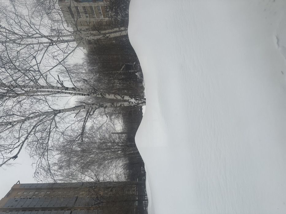 The image depicts a winter scene in the city of Kazan, Russia. In the foreground, a field of undisturbed white snow presents an undulating, hilly surface with several smooth, rounded mounds. The midground features several prominent bare-branched birch trees, identifiable by their distinctive white and dark mottled bark. Behind them, a dense stand of leafless deciduous trees forms a darker, textured backdrop. A tall, slender, dark industrial chimney or tower is visible above the tree line in the center-left distance. In the background, to the left, stands a tall, multi-story residential building with a light brown or tan facade and numerous windows. To the right, another multi-story residential building with a lighter facade and what appears to be a large, colorful exterior mural or artistic element on one side is partially visible. The sky is overcast and uniformly grey. There are no people, explicit actions, or interactions visible.