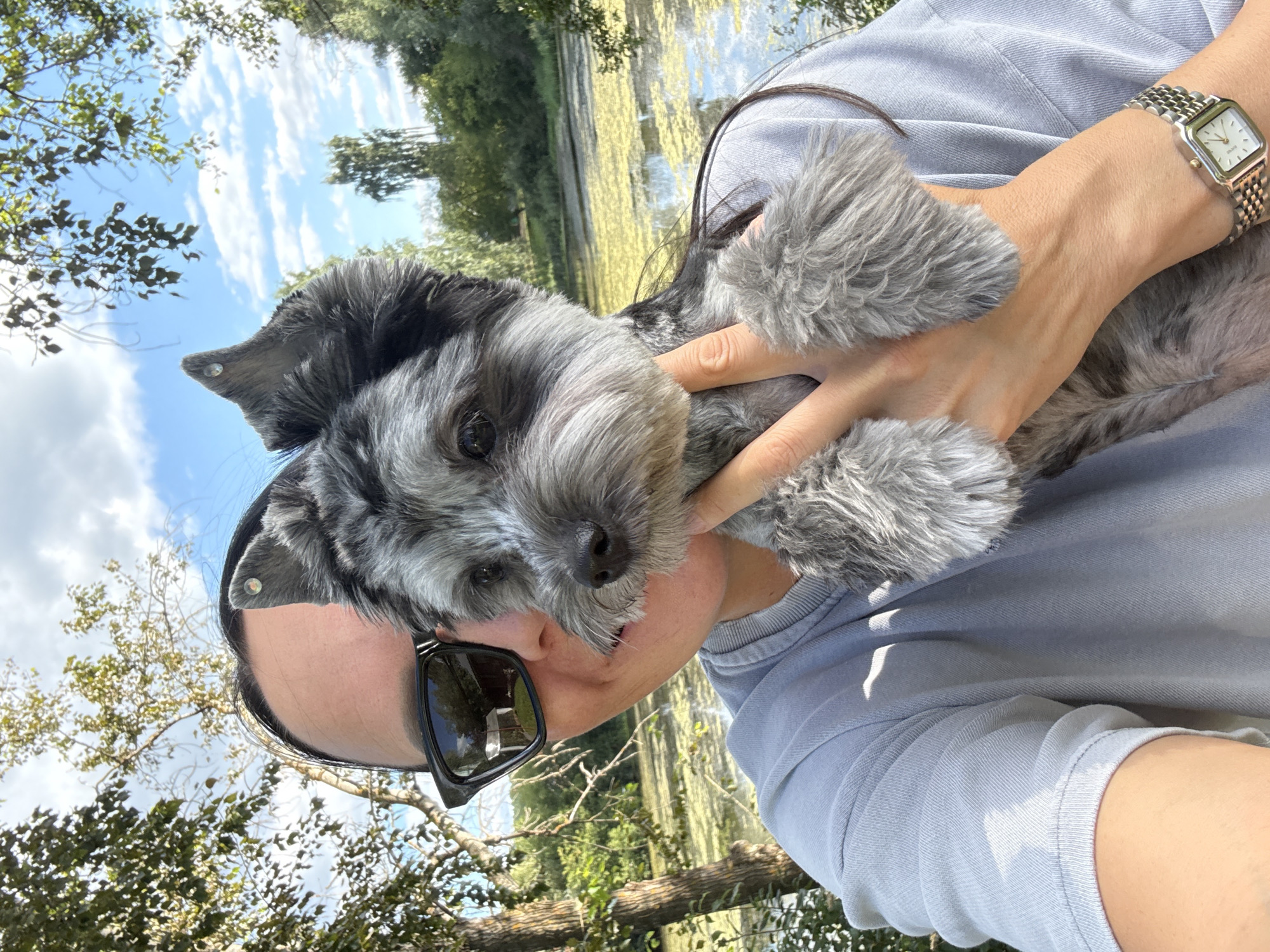 An outdoor, medium-shot, eye-level selfie shows a woman holding a gray schnauzer in front of a body of water. The woman's face is partially obscured by the dog. She is wearing sunglasses and a light gray t-shirt. The dog is held with its face near the woman's cheek. The background consists of trees and a body of water with green algae. The image appears to be taken on a sunny day. There is no indication of this location being in Chaikovsky, Russia.