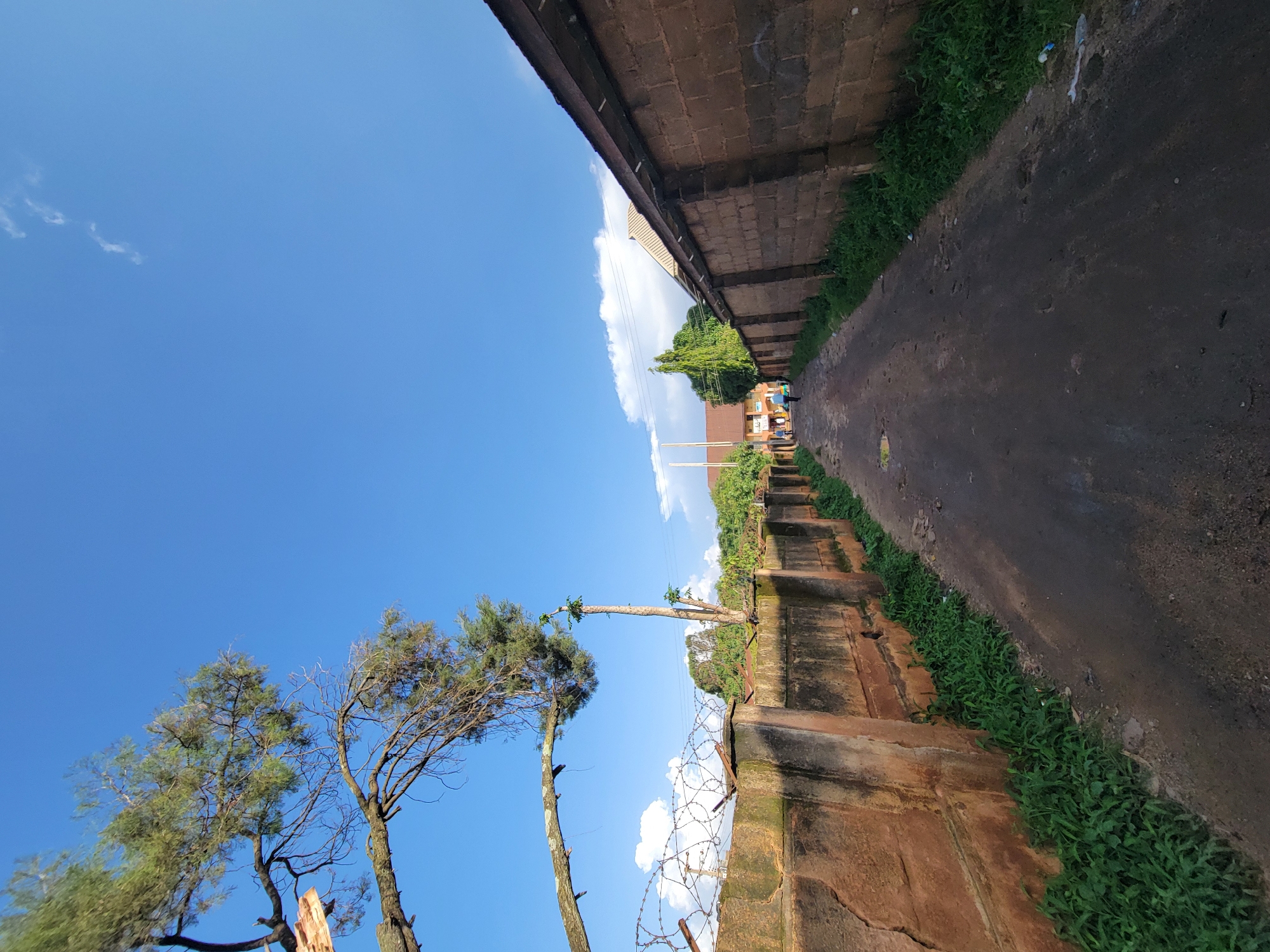 A low-angle, wide shot captures a dirt road in Jos, Nigeria, flanked by a tall, weathered brick wall on the right and a shorter, rougher wall topped with barbed wire on the left. Lush green grass grows along the base of both walls. In the foreground on the left, a large tree branch, broken and hanging, extends over the scene. The road stretches into the distance, where two figures, one in a blue shirt and the other in a lighter colored shirt, walk away from the camera. Beyond them, buildings with brown and white facades are visible, along with more green trees. The sky above is a vibrant, clear blue with a few wispy white clouds. The overall impression is one of a somewhat overgrown, but well-lit, urban environment.
