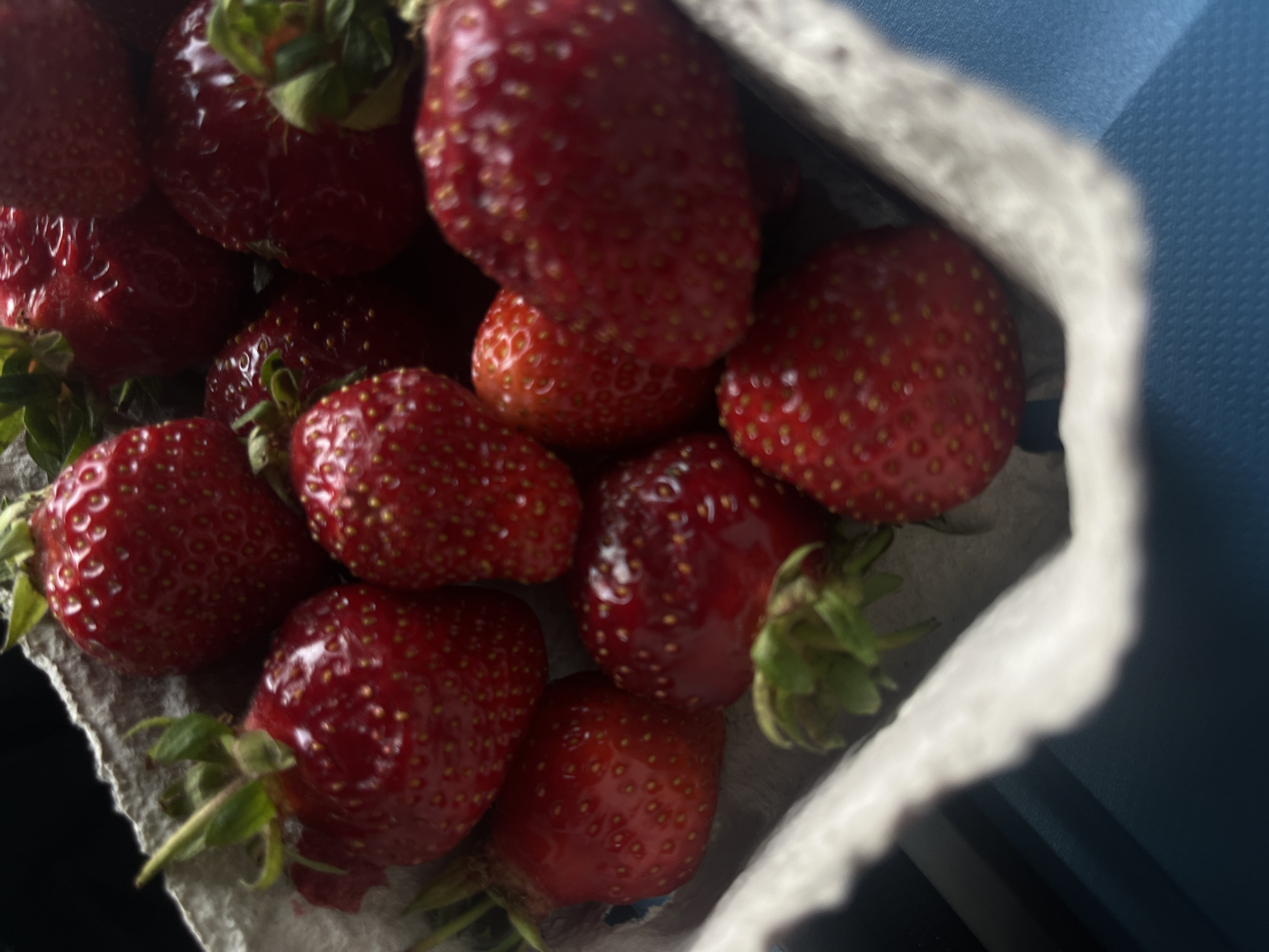 The image shows a close-up view of a container of strawberries. The strawberries are red and ripe, with green stems attached. The container appears to be made of a light-colored, possibly cardboard material. The background is a blurry blue, likely another surface. The location and date are not identifiable from the image. The scene does not depict any people, actions, or interactions.