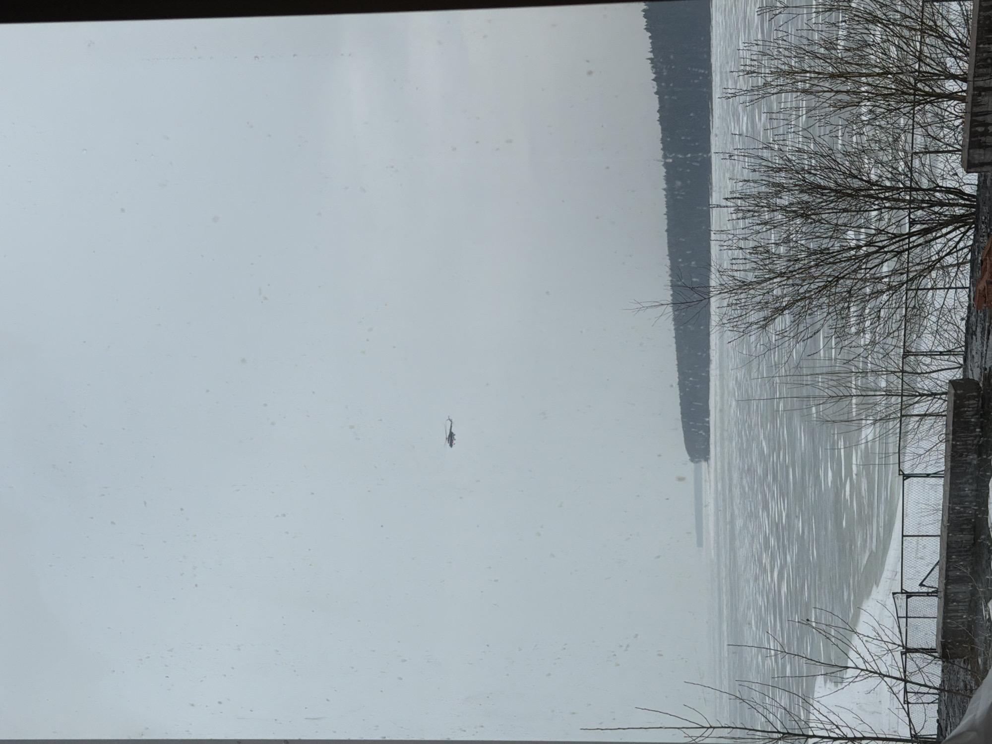 The image shows a winter scene in what appears to be Chaikovsky, Russia, as viewed through a window. The view encompasses a frozen body of water, likely the Kama Reservoir, stretching into the distance with a wooded shoreline on the right. Bare trees are visible in the foreground on the right, suggesting proximity to vegetation, likely a park or wooded area bordering the reservoir. In the center of the image, a dark object is visible on the water's surface. It is likely a bird or a manmade object. The sky is overcast, casting a diffused light across the scene. The image contains details of an external view from what appears to be an indoor location, possibly an apartment or building overlooking the frozen reservoir.