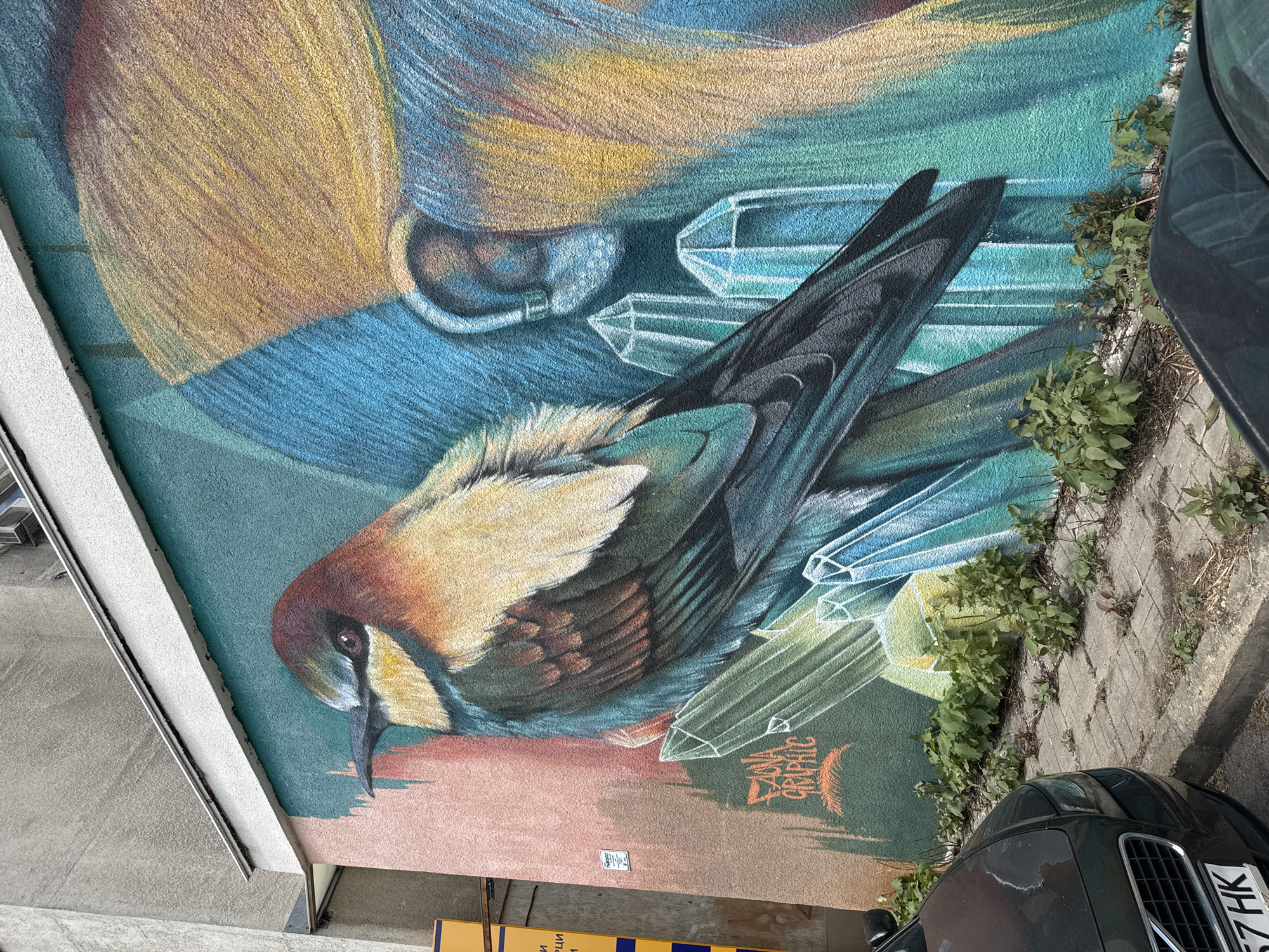 The image shows a mural painted on the exterior wall of a building in Sofia, Bulgaria. The mural depicts a bird with vibrant plumage, possibly a European bee-eater, perched on large, translucent crystals. To the right of the bird, a large, abstract human-like figure with an ear adorned with an earring is partially visible. The style of the artwork is detailed and colorful, with elements of realism and fantasy. Below the mural, overgrown vegetation sprouts from the ground, and a dark-colored car is parked along the sidewalk, partially obscuring the lower portion of the wall. The building itself appears to be a multi-story structure with a textured facade. The scene is an outdoor urban environment.