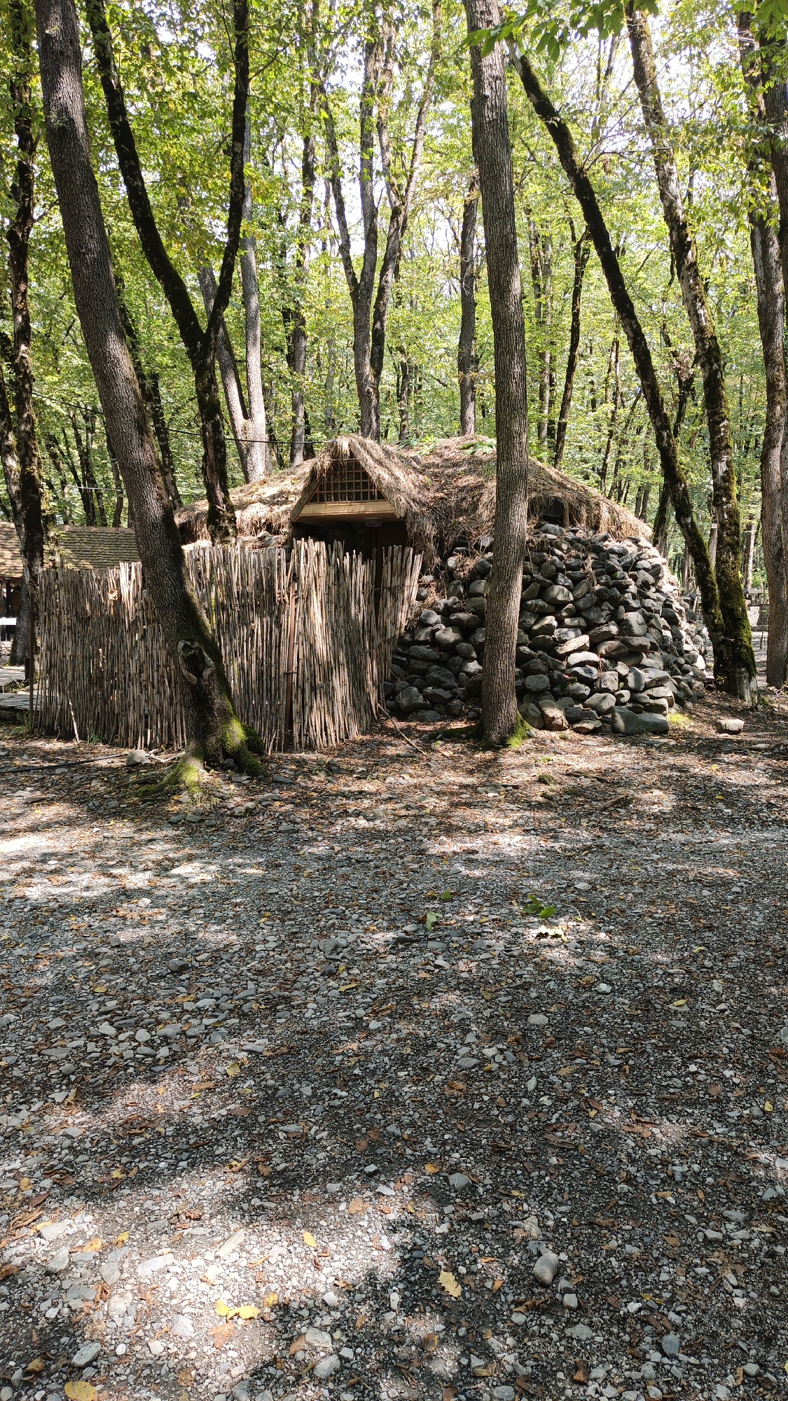 A rustic, partially built structure made of bamboo and stones is nestled among trees in a forested area. The structure has a thatched roof and appears to be an unfinished dwelling or shelter. The ground is covered with pebbles and fallen leaves, indicating an outdoor setting likely in a natural park or rural area. Sunlight filters through the trees, casting dappled shadows on the ground. The overall impression is one of a secluded, natural environment, possibly a historical site or tourist attraction in Gabala, Azerbaijan, given the unique architectural style.
