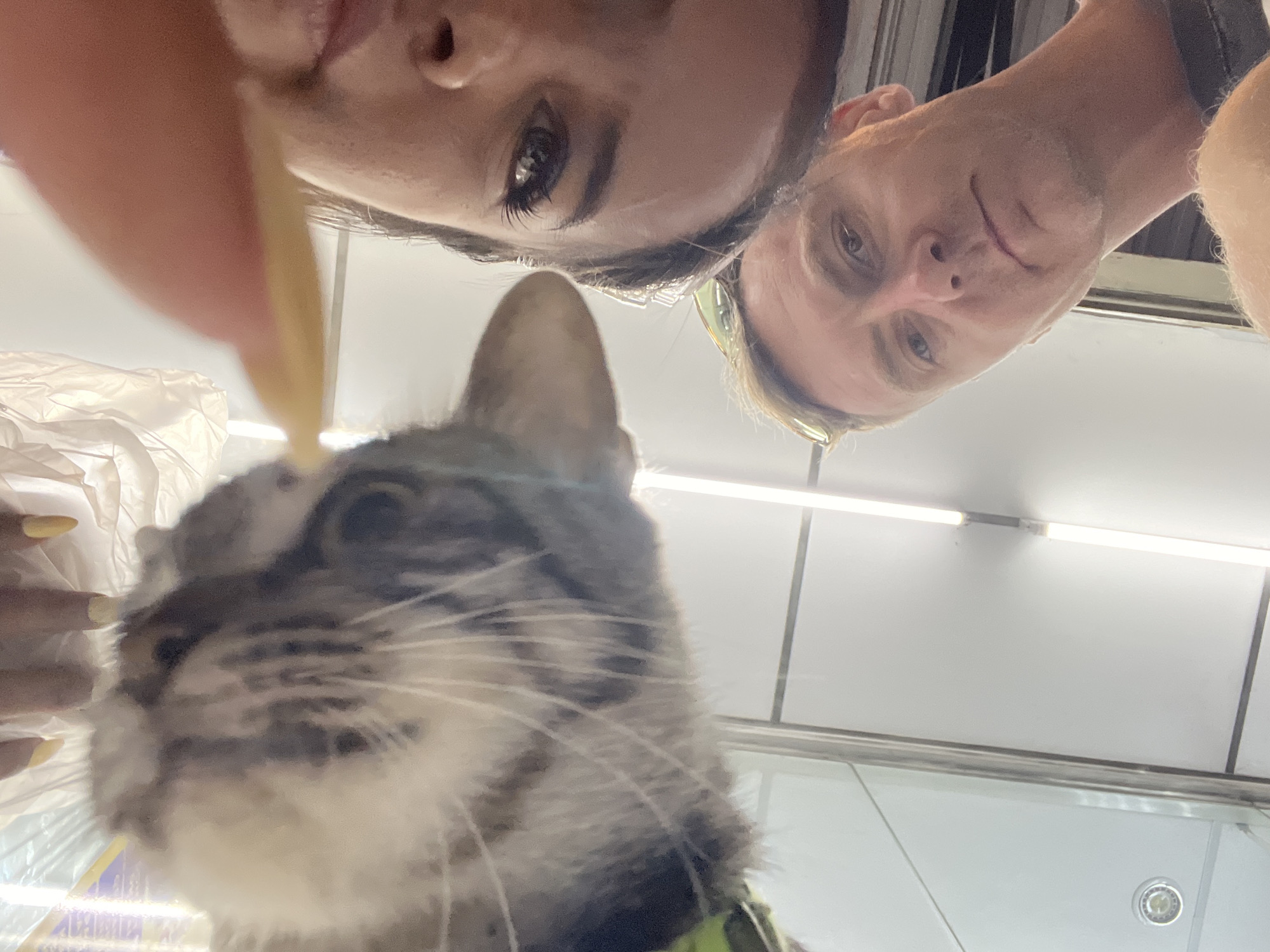 In this close-up, low-angle selfie, three subjects are visible: a cat, a woman, and a man. The cat, a tabby with grey and white fur, is in the foreground on the left, appearing to be sniffing or interacting with a yellow object held by the woman. The woman's face, on the right, is partially visible from the nose up, with her eye clearly in focus. She is wearing makeup and her fingernails are painted yellow. The man is positioned below the woman and to the right, his face in focus. He has short, light brown hair and is looking directly at the camera. The background appears to be an indoor environment, possibly a shop or market, with bright fluorescent lighting and reflective surfaces, suggesting a location in Kuta Selatan, Indonesia. The overall impression is a candid, informal moment captured in a public or commercial space.