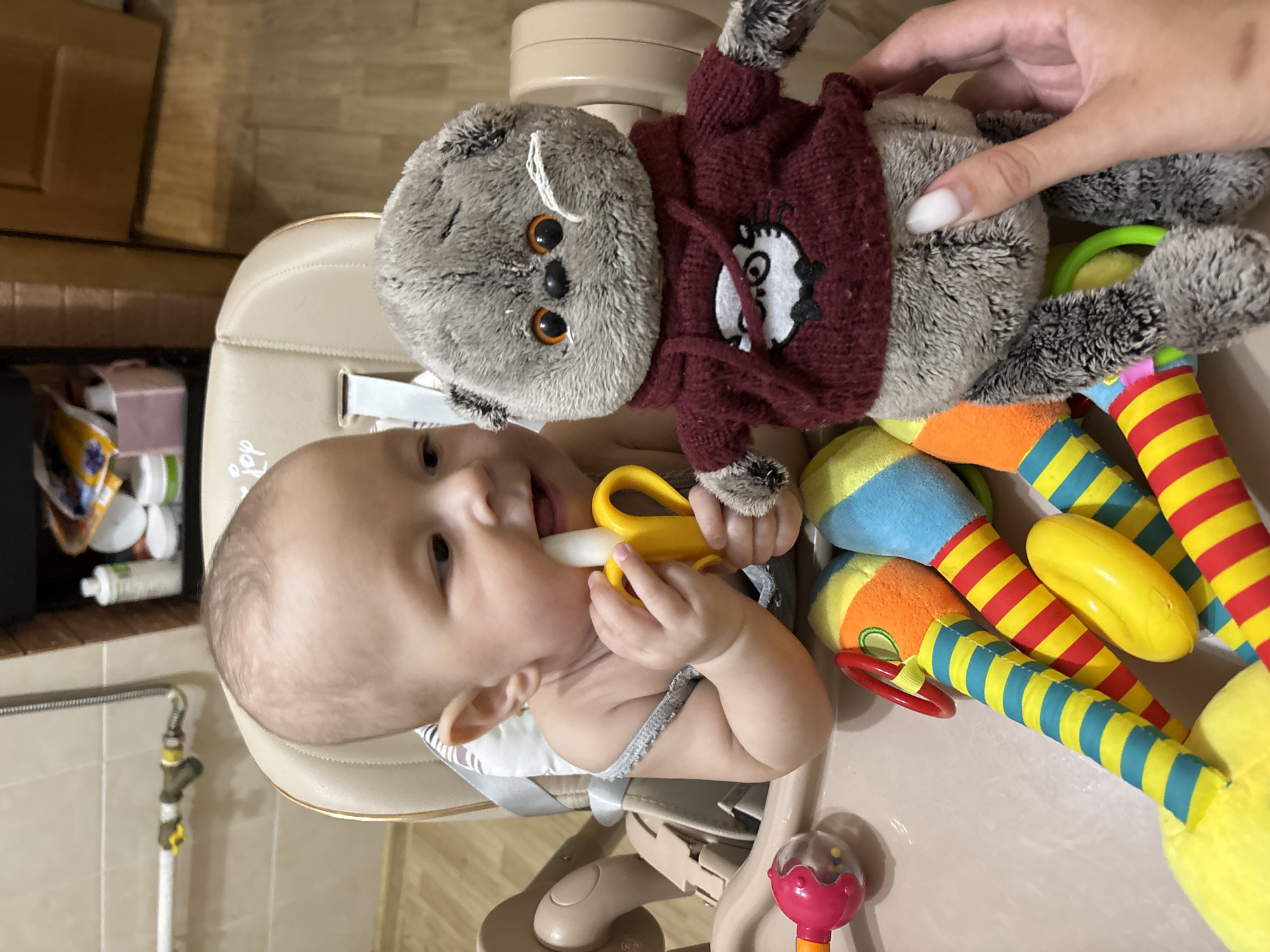 A baby is sitting in a high chair, chewing on a yellow object and looking to the left. To the baby's right is a stuffed gray cat toy wearing a maroon sweater. A hand is holding the cat toy. The high chair is beige. Colorful striped toys are to the baby's right. A wicker basket with white and green bottles is in the background. A faucet and pipe are on the left background. The image was taken indoors. The location is not discernible as Sochi, Russia.