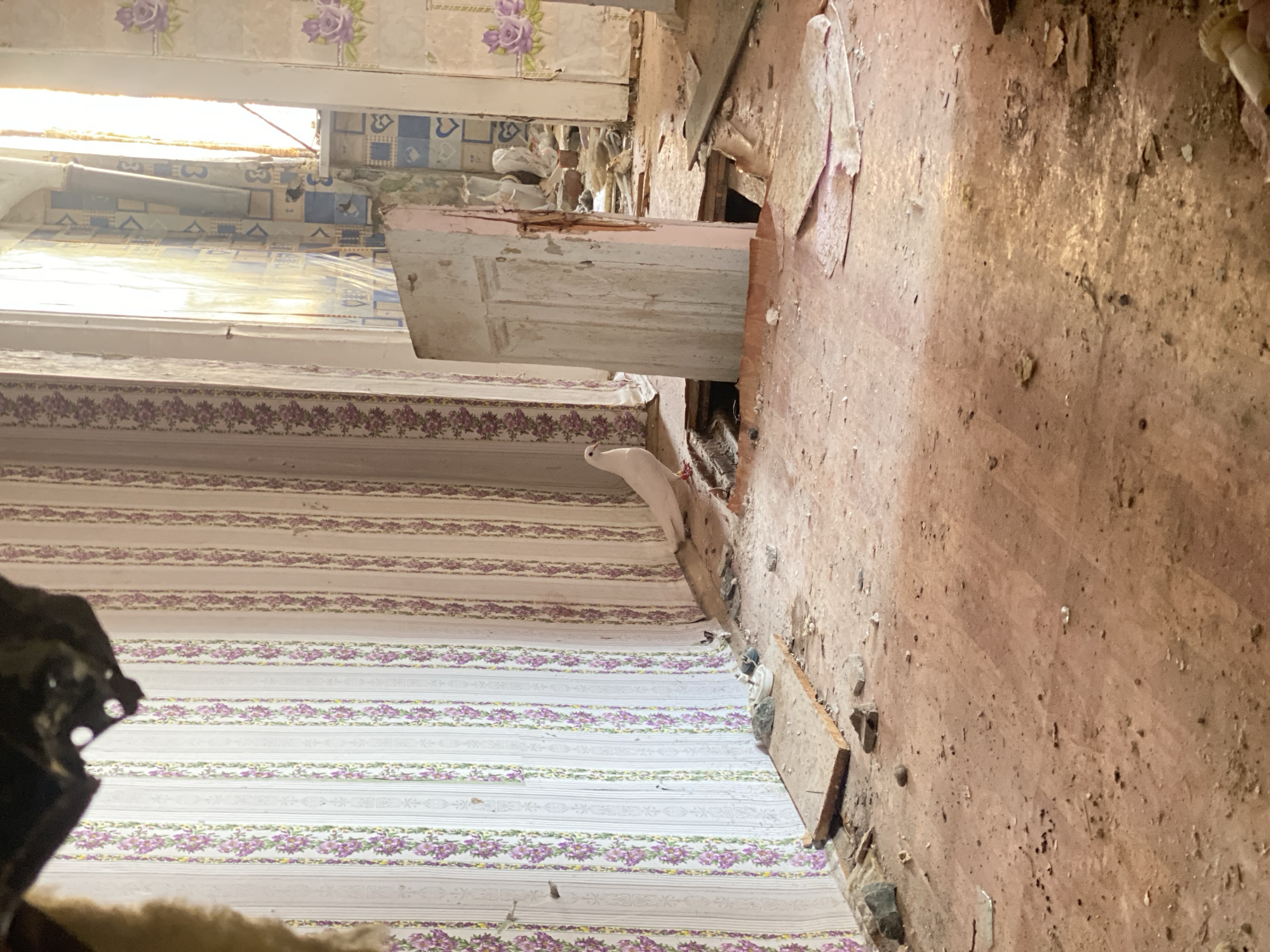 The image presents a dilapidated interior, possibly within a structure in Chaikovsky, Russia. The focus is on a room with heavily damaged walls, exposing raw materials and peeling paint. The floor is covered in debris, suggesting neglect or abandonment. Wallpaper with a floral pattern is peeling off the wall, contrasting with the exposed brick. A decaying white door leans against the wall, indicating disuse and damage. The overall scene conveys a sense of decay and dereliction. The presence of sunlight indicates the image was taken during the day, while the image itself is out of focus in spots.