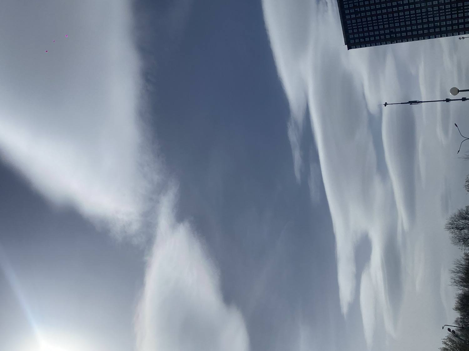 The image captures a bright, partially cloudy sky over Moscow, Russia, presented in a rotated orientation. The sky dominates the frame, featuring sections of deep blue contrasting with long, wispy, and streaky white clouds that sweep across the view, suggesting atmospheric movement.
In the lower left corner, a bright light source, likely the sun, creates a prominent lens flare. Three small, distinct magenta-colored dots are visible high in the upper left quadrant, possibly indicating balloons.
On the right side of the image, urban elements are visible. The top portion of a dark, modern building with a repeating grid pattern, possibly of windows, is present in the upper right. Below it, a black street light pole with a light fixture extends vertically. Sparse, bare tree branches are also seen along the far right edge and in the bottom right corner, typical of deciduous trees in winter or early spring.
The scene depicts a clear, bright daytime environment. No specific activity or event is taking place other than the natural conditions of the sky and the static urban landscape. There is no visible text in the image.