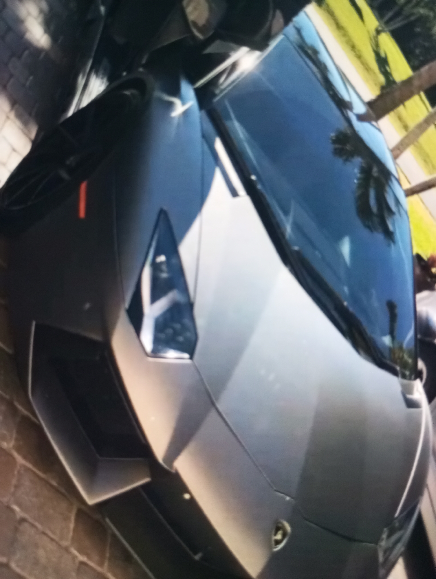 A dark gray Lamborghini Aventador is parked on a brick driveway outdoors. The car's scissor doors are open, and the front of the vehicle is angled towards the viewer. The windshield reflects palm trees and a bright sky. A person, wearing a dark shirt and a lighter-colored hat, is partially visible in the background, to the right of the car. The scene appears to be in a sunny, possibly tropical, location. No specific landmarks or indications of Zahorna, Moldova are present in the image.