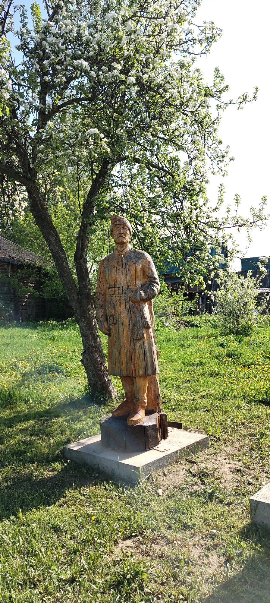 The image depicts a wooden statue of a man in traditional clothing, standing on a concrete base in a grassy area. The statue is located in Chaikovsky, Russia. A blooming tree with white flowers provides shade, and other greenery surrounds the statue. In the background are wooden structures and other vegetation. The weather appears sunny.