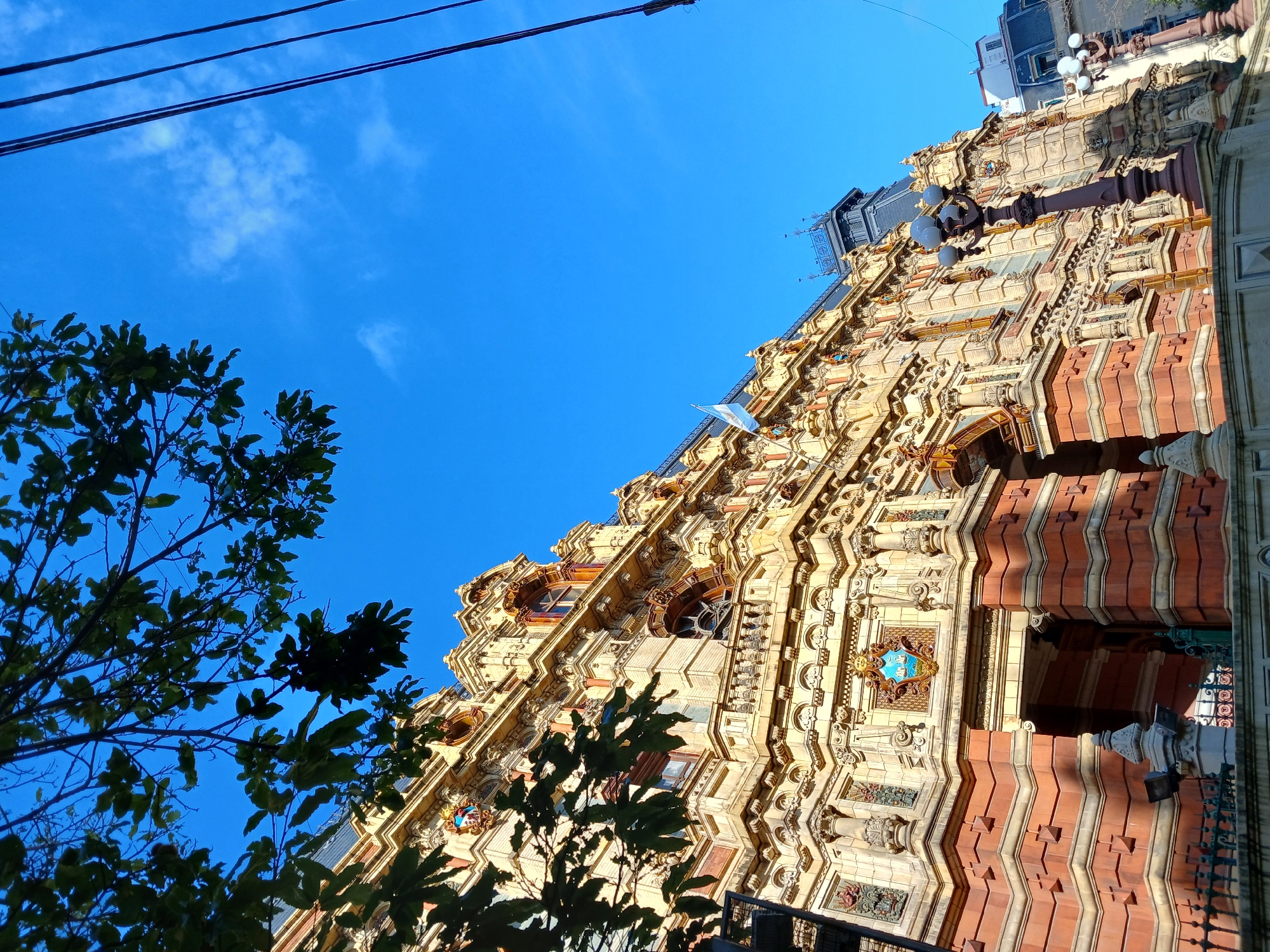 An upward-angled shot captures the highly ornate facade of a building against a bright blue sky with sparse white clouds. The building, prominent on the right, showcases an eclectic architectural style characterized by rich ornamentation, including decorative columns, pilasters, arched windows, and intricate carvings. Its facade is a mix of warm yellowish-cream stone or stucco and reddish-brown brickwork arranged in patterned layers. Sunlight illuminates the details, creating distinct shadows that enhance the three-dimensional quality of the architectural elements.
A small, light blue and white flag, indicative of Argentina, flutters from a flagpole near the top of the building's facade. Above the building, a darker, possibly mansard roof or dome structure is visible. Several dark power lines stretch diagonally across the upper left portion of the sky. In the foreground, on the left side and bottom left, dark green foliage from a tree frames the scene, with its branches and leaves silhouetted against the bright sky and partially obscuring the building. Part of an ornate black lamppost or streetlight is visible on the far right. The overall impression is one of grandeur and historical significance in a sunny urban setting, consistent with Buenos Aires, Argentina. No discernible text is visible on the building or in the scene.
