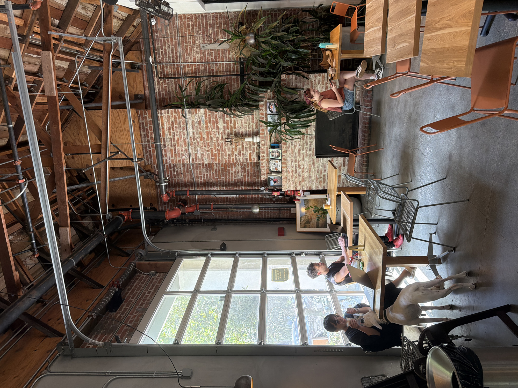 The image depicts the interior of a coffee shop in Los Angeles, USA. The space features an industrial aesthetic with exposed brick walls, wooden ceiling beams, and metal pipes. A large roll-up garage door with glass panels dominates one side of the room, allowing natural light to enter and offering a view of greenery outside.
Several patrons are present. In the foreground, a woman with short dark hair and sunglasses sits at a wooden table, holding a beverage. A large white dog stands near her, looking up. To her right, a man with dark hair and a sleeveless shirt works on a laptop at another wooden table. Further into the background, a woman with reddish-brown hair tied in a bandana sits at a table, looking at her phone, with a partially eaten meal and a water bottle on the table. Multiple wooden tables and chairs, some made of metal wire, are arranged throughout the space. Large potted plants add a touch of nature to the urban setting. A framed painting of a landscape hangs on the brick wall. The overall atmosphere appears relaxed and casual, with people engaged in work or leisure activities.