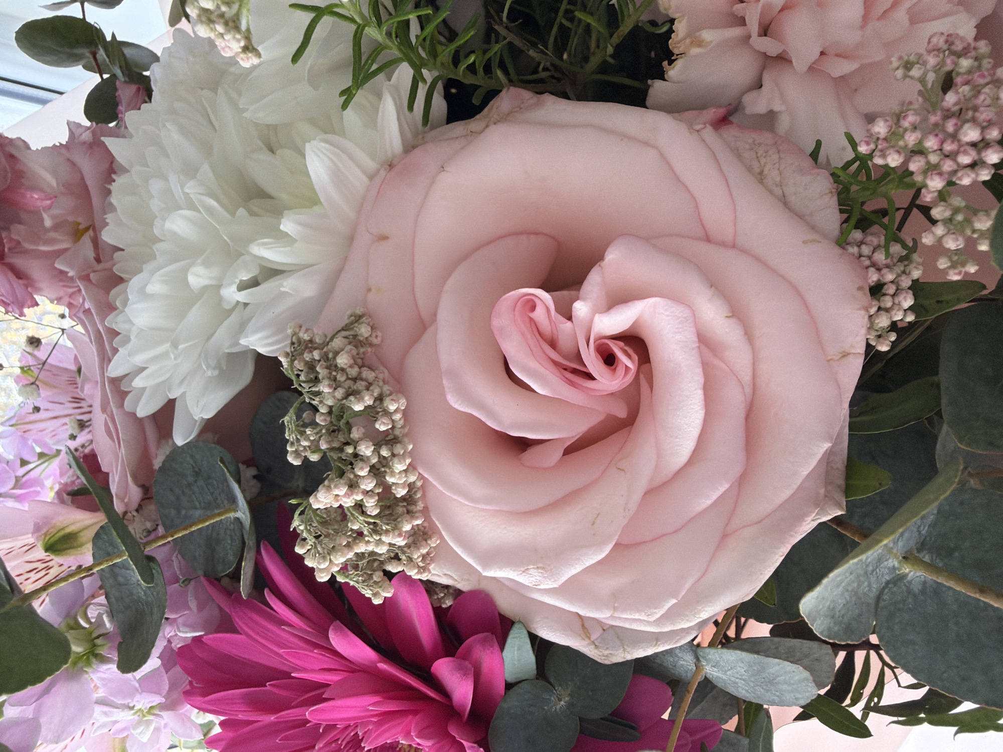 A close-up photograph captures a detailed and vibrant floral arrangement, likely a bouquet or centerpiece. The central focus is a large, delicate pale pink rose, its petals spiraling inwards to a deeper pink core. To the left, a voluminous white flower, possibly a chrysanthemum or a similar type, displays densely packed, soft petals.
Below the main pink rose and slightly to the lower right, a prominent hot pink gerbera daisy adds a striking pop of color with its radiating petals. The arrangement also incorporates smaller clusters of white and light pink filler flowers, which appear to be waxflower or similar delicate blooms, adding fine texture. Throughout the bouquet, sprigs of dusty green eucalyptus leaves are visible, providing a cool contrast to the warm floral tones. Hints of other pink and purple flowers, such as alstroemeria or stock, can be seen at the edges of the frame, further enriching the diverse palette.
The image is a static, top-down view, emphasizing the intricate beauty and varied textures of the flowers and foliage. No people are present, and no specific activity is depicted beyond the display of the flowers. The lighting suggests an indoor setting, possibly with natural light gently illuminating the arrangement. There are no discernible location cues within the photograph itself to indicate it was taken in Riga, Latvia, though this context is provided. No text is visible in the image. The overall impression is one of freshness, beauty, and careful composition.