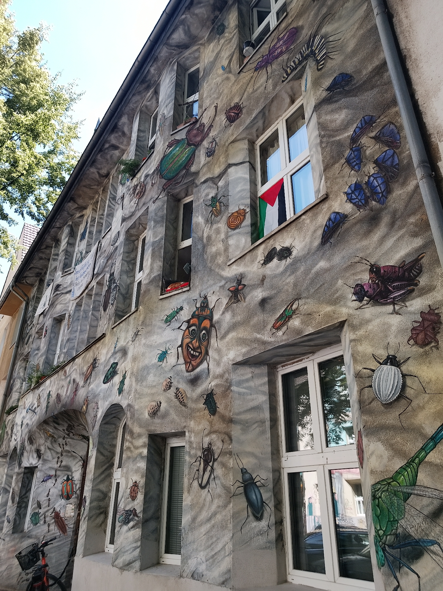 This is a medium-angle, exterior shot of a building facade decorated with numerous insect-themed murals in Dusseldorf, Germany. The building appears to be a multi-story residential or commercial property with several windows and arched entrances. The murals depict a variety of insects, including beetles, grasshoppers, and what appears to be a dragonfly, rendered in a realistic style with varying sizes and colors. The facade itself has a textured, greyish-brown surface that serves as the canvas for the artwork. The sky is visible at the top of the frame, with some greenery from a tree on the left side of the image. A bicycle is parked at the bottom left. One window on the second floor displays a Palestinian flag. The overall impression is a vibrant and artistic streetscape.