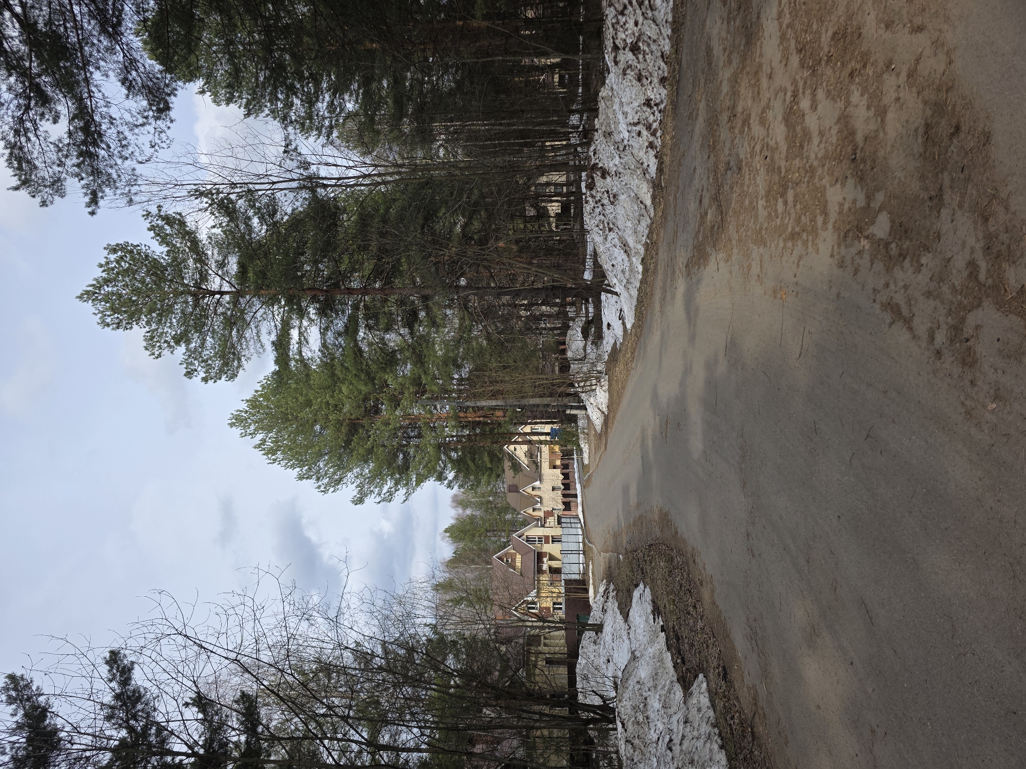 The image depicts a residential area in Chaikovsky, Russia, during the transition from winter to spring. A narrow asphalt road runs along the right side of the frame, with remnants of melting snow piled along the edges. On the left side of the road, a line of tall pine trees forms the edge of a forest. Beyond the trees, several multi-story residential buildings are visible, constructed with light-colored brick or siding. The sky is overcast with a mix of grey and white clouds. Bare tree branches are visible in the foreground, suggesting that the image was taken before the full onset of spring foliage. The overall scene suggests a quiet residential area located on the outskirts of the city. There are no people visible in the image.