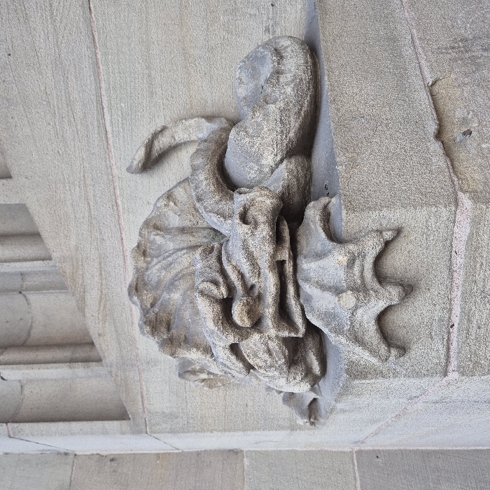 A stone carving depicting a grotesque figure is affixed to the exterior facade of the Strasbourg Cathedral in Strasbourg, France. The carving, executed in weathered light-colored sandstone, features a stylized reptilian head characterized by a prominent snout, deeply textured skin folds, and a large, frilled or leaf-like element forming a mane behind the head. A three-toed, clawed foot extends from the figure's lower portion, resting upon a stone ledge. To the right of the head, a rounded, organic form and a curved, horn-like or tail-like appendage are visible, extending upwards. The carving is situated on an exterior architectural corner or protrusion, set against a backdrop of ornate Gothic stonework. No individuals or active interactions are present in the scene.