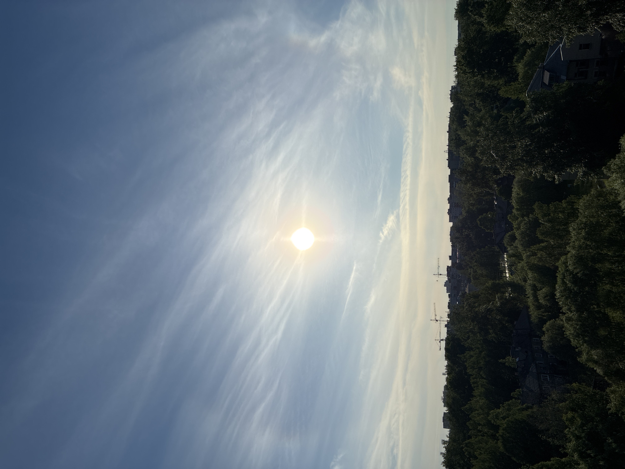 An aerial view captures a sunlit sky with wispy cirrus clouds, casting a gentle light over a dense forest canopy. In the distance, a city skyline emerges, punctuated by construction cranes and buildings. The forest, a lush green expanse, partially obscures the urban landscape, creating a contrast between nature and development. The sun, a bright orb, is positioned slightly off-center, illuminating the scene with a warm glow. The image appears to be taken from a high vantage point, offering a panoramic perspective of the environment.