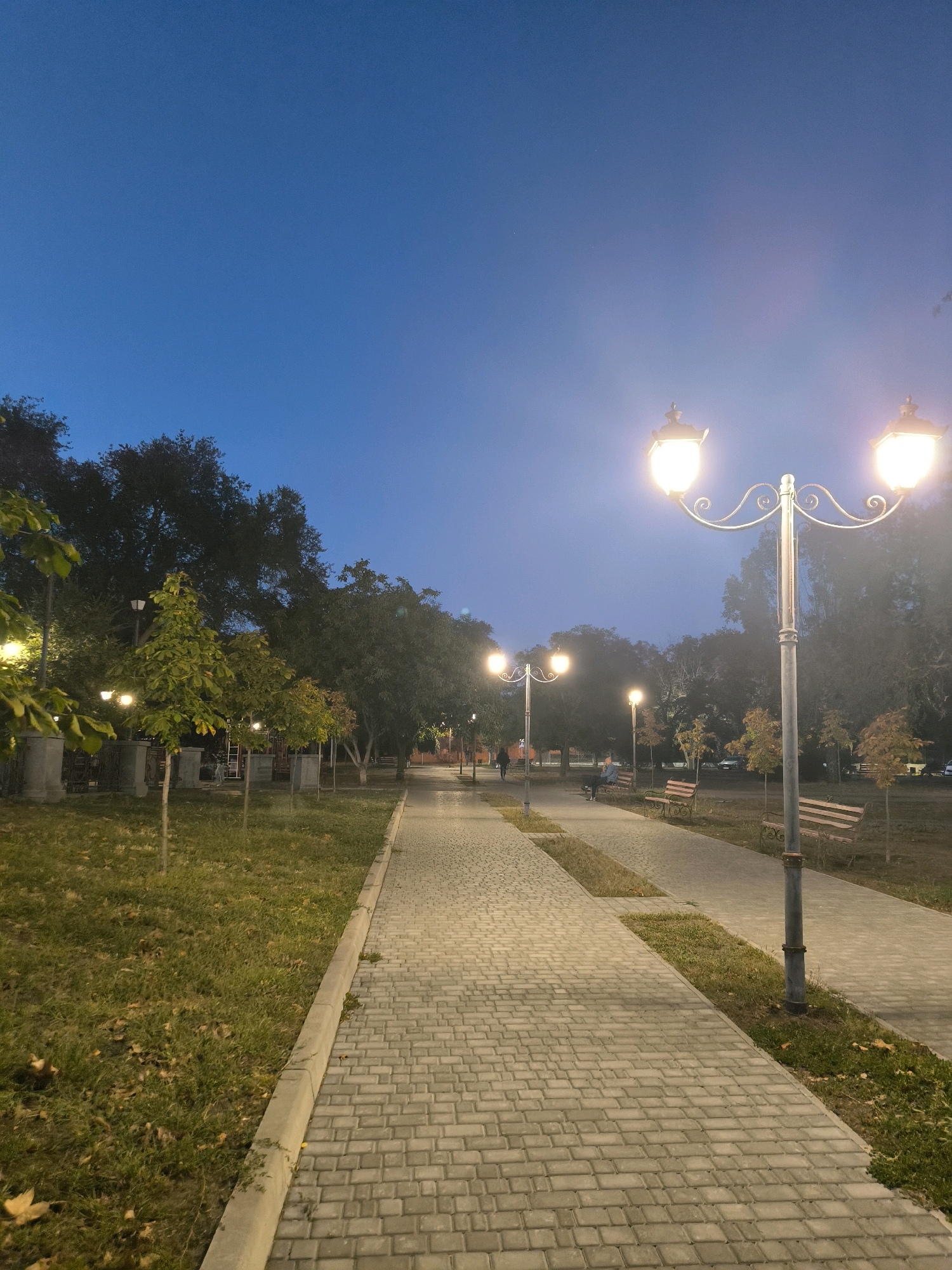 The image depicts a park pathway illuminated by ornate streetlights during twilight in Mykolaiv, Ukraine. The pathway is constructed of light-colored cobblestones and curves to the right, flanked by grass and trees. Several benches are visible along the pathway, and one person is seated on a bench in the distance. The sky is a deep, clear blue, characteristic of early evening. The overall scene conveys a sense of calm and serenity.