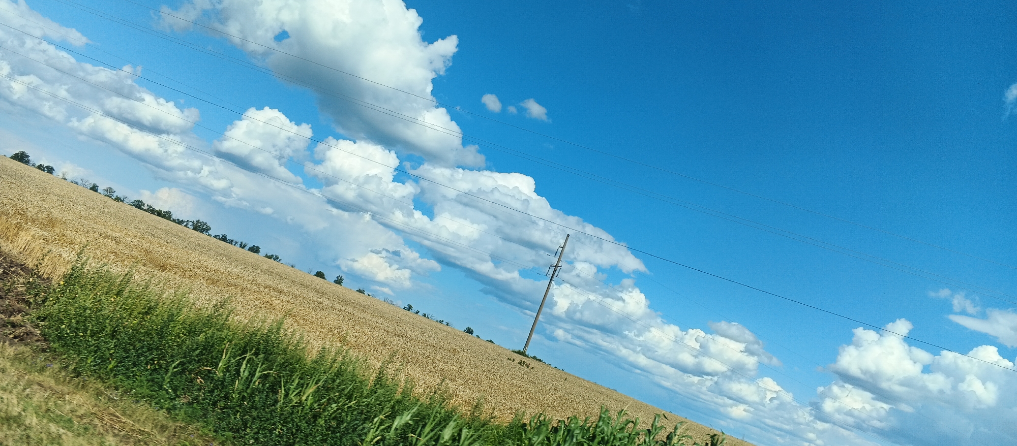 In Ternivka, Ukraine, this wide-angle, low-angle shot captures a vast, sunlit sky filled with fluffy white clouds against a vibrant blue backdrop. A telephone pole stands vertically on the right side of the frame, with power lines stretching diagonally across the sky. Below the sky is a golden field of wheat, sloping downwards from left to right, bordered by a strip of lush green vegetation in the foreground. The image is tilted, creating a dynamic perspective of the rural landscape.