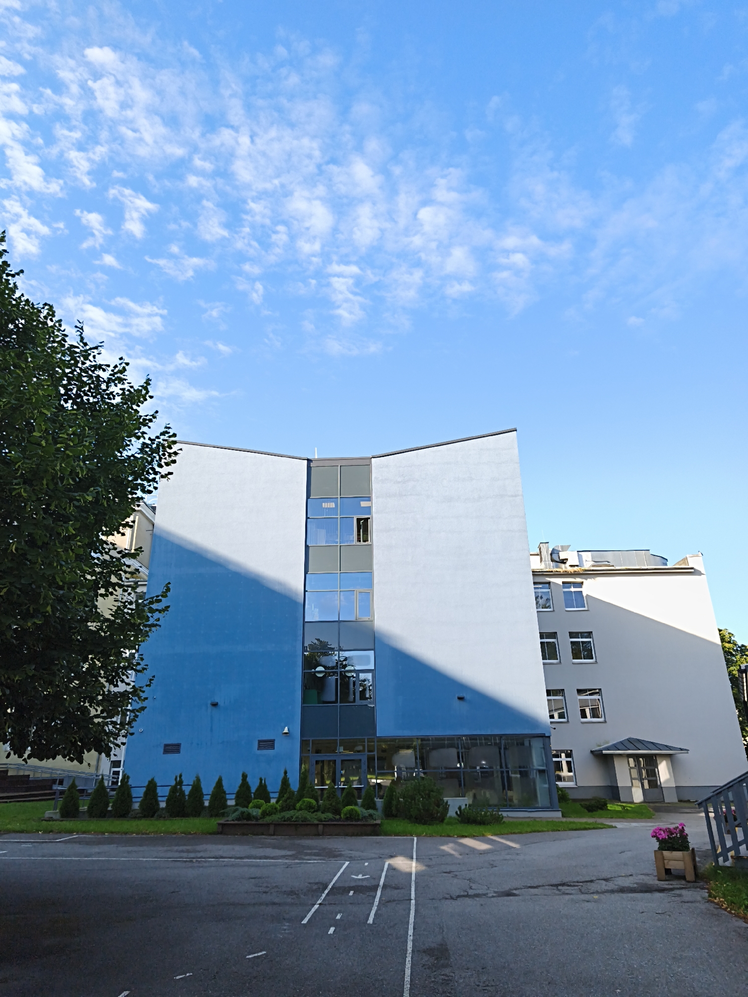 The image shows a modern building with a light blue facade and a contrasting dark blue section, located in Tallinn, Estonia. The building features several windows of various sizes and a glass-enclosed entrance area. In front of the building, there is a paved area with white markings that appear to be for a pedestrian crossing or a game. A line of small evergreen trees is planted along a raised flowerbed. To the left, a large tree with dark green foliage is partially visible. The sky above is a clear blue with scattered white clouds. The overall scene suggests an outdoor area of a public or commercial building, possibly a school or office complex.