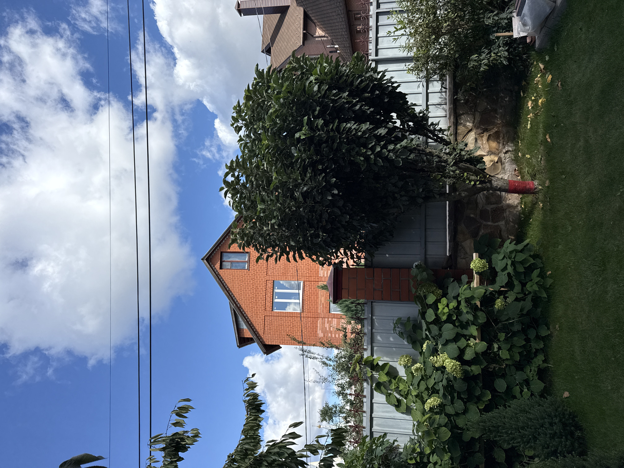 The image captures a view of a residential area in Zheleznogorsk, Russia, on a bright, cloudy day. In the foreground, a well-maintained lawn is visible, with a small conifer tree on the left and a larger deciduous tree with a red band around its trunk on the right. Behind the lawn, a grey metal fence runs horizontally across the frame, with a brick pillar supporting a decorative cap. Lush green bushes and plants, including hydrangeas with light green blossoms, grow along the fence.
In the background, a two-story brick house with a dark roof dominates the scene. It has multiple windows, some with white frames. To the right of the brick house, another house with a brown roof and a chimney is partially visible. Power lines are strung across the bright blue sky, which is dotted with fluffy white clouds. The overall impression is of a suburban backyard with a focus on the house and garden. There are no people or animals visible in the image.