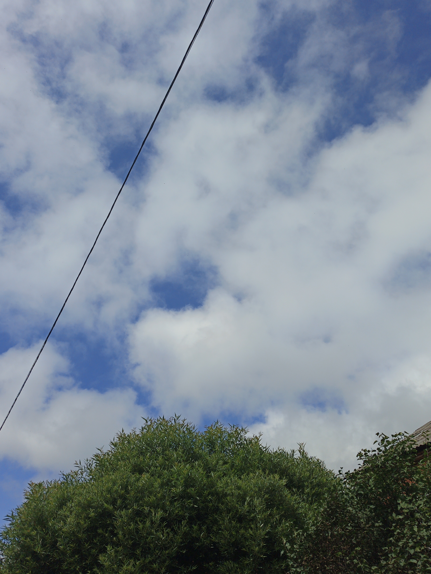 The image captures a view looking upwards at a cloudy blue sky. A thin black cable stretches diagonally across the frame from the upper left to the lower right. Below the sky, the tops of lush green trees are visible, with one large tree dominating the foreground. To the right, a portion of a building with a tiled roof is partially obscured by foliage. The scene appears to be an outdoor setting in Medvedyovka, Russia.